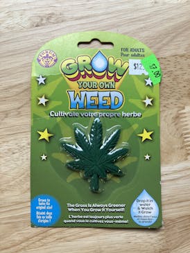 Grow Your Own Weed Toy
