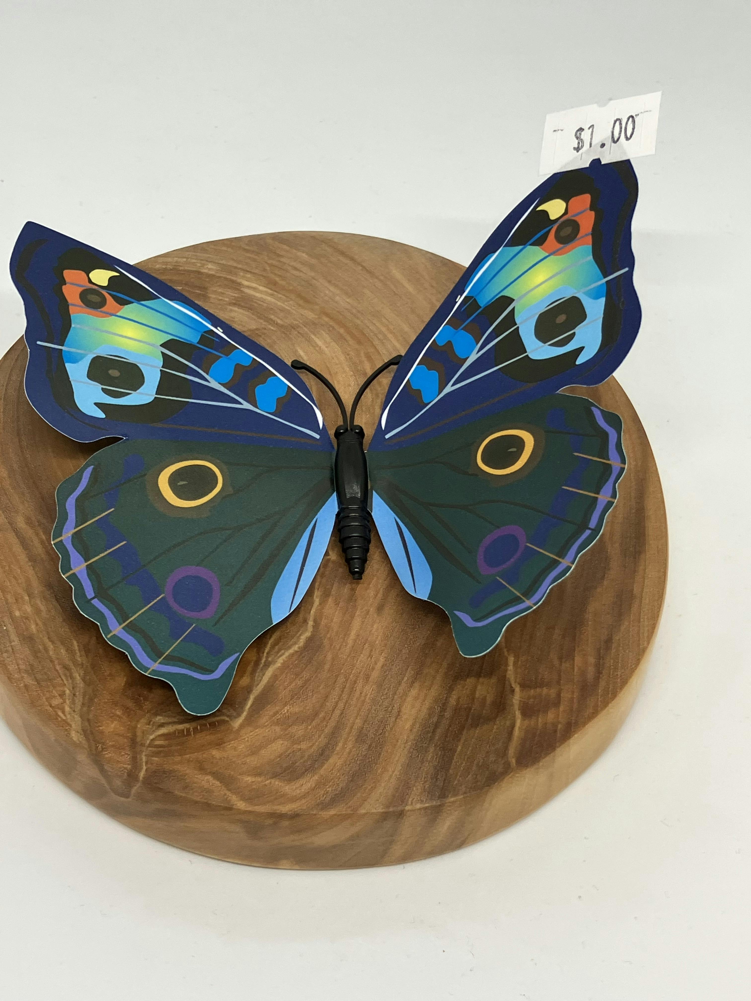 Magnetic Butterfly Decor | Large