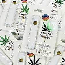 Arctic | POG Disp | 1g 21619