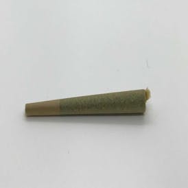 Kasilof Cannabis | Futura Haze PR | 0.5g