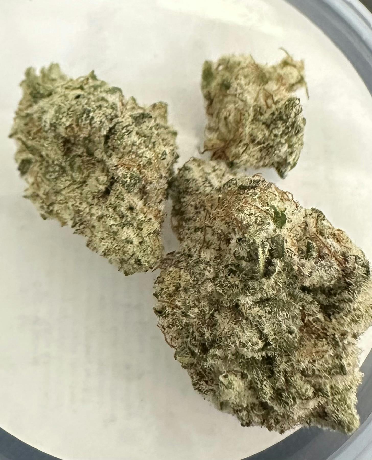 Moon Forest | MAC 1 Flower | 7g TIN