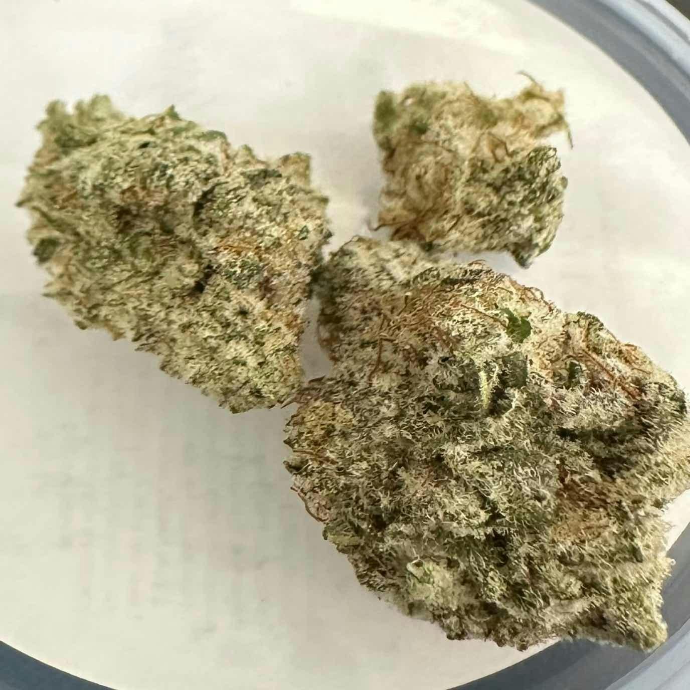 Moon Forest | MAC 1 Flower | 1g TIN
