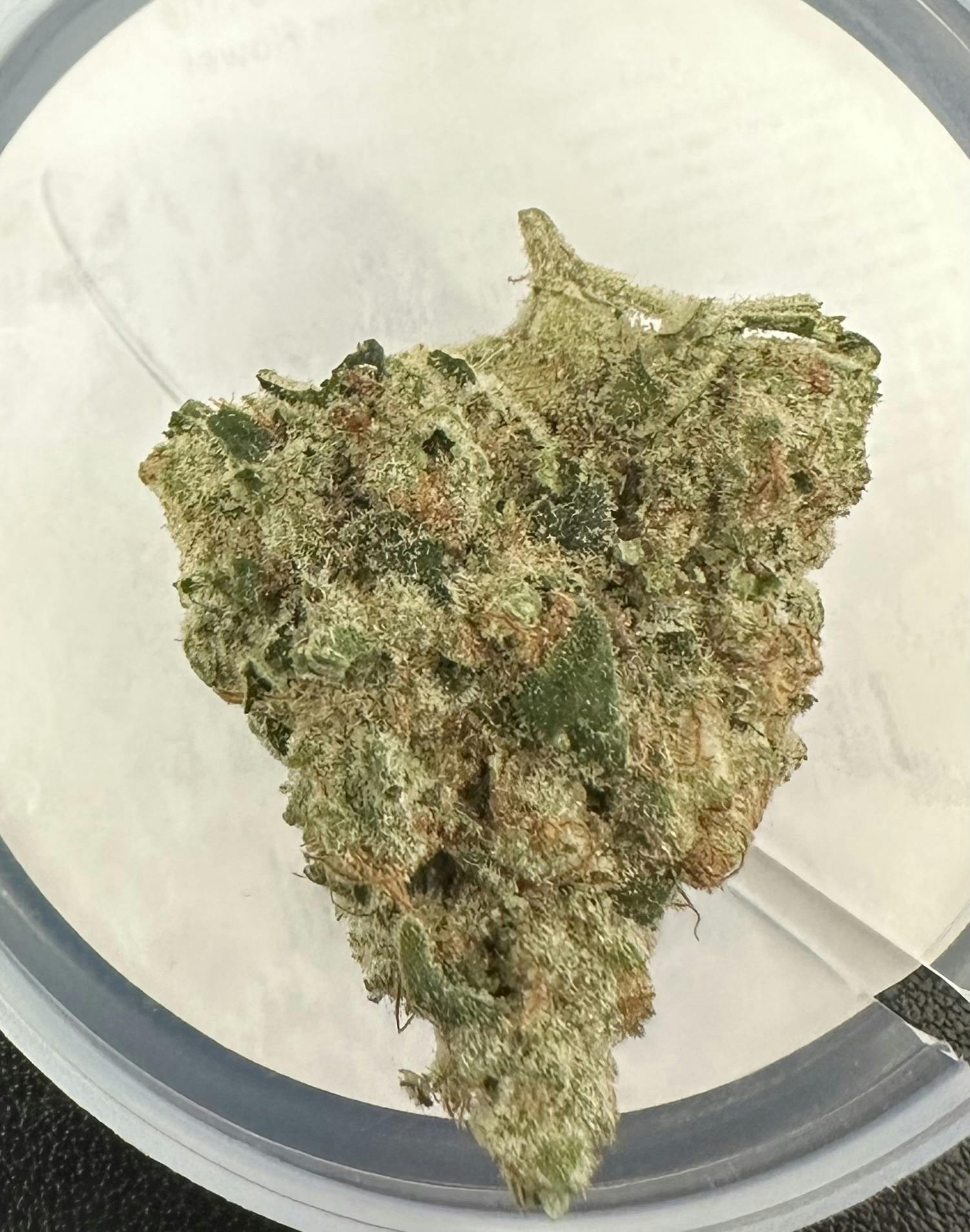 Mercy Tree | Sour Petroleum Flower | 7g TIN