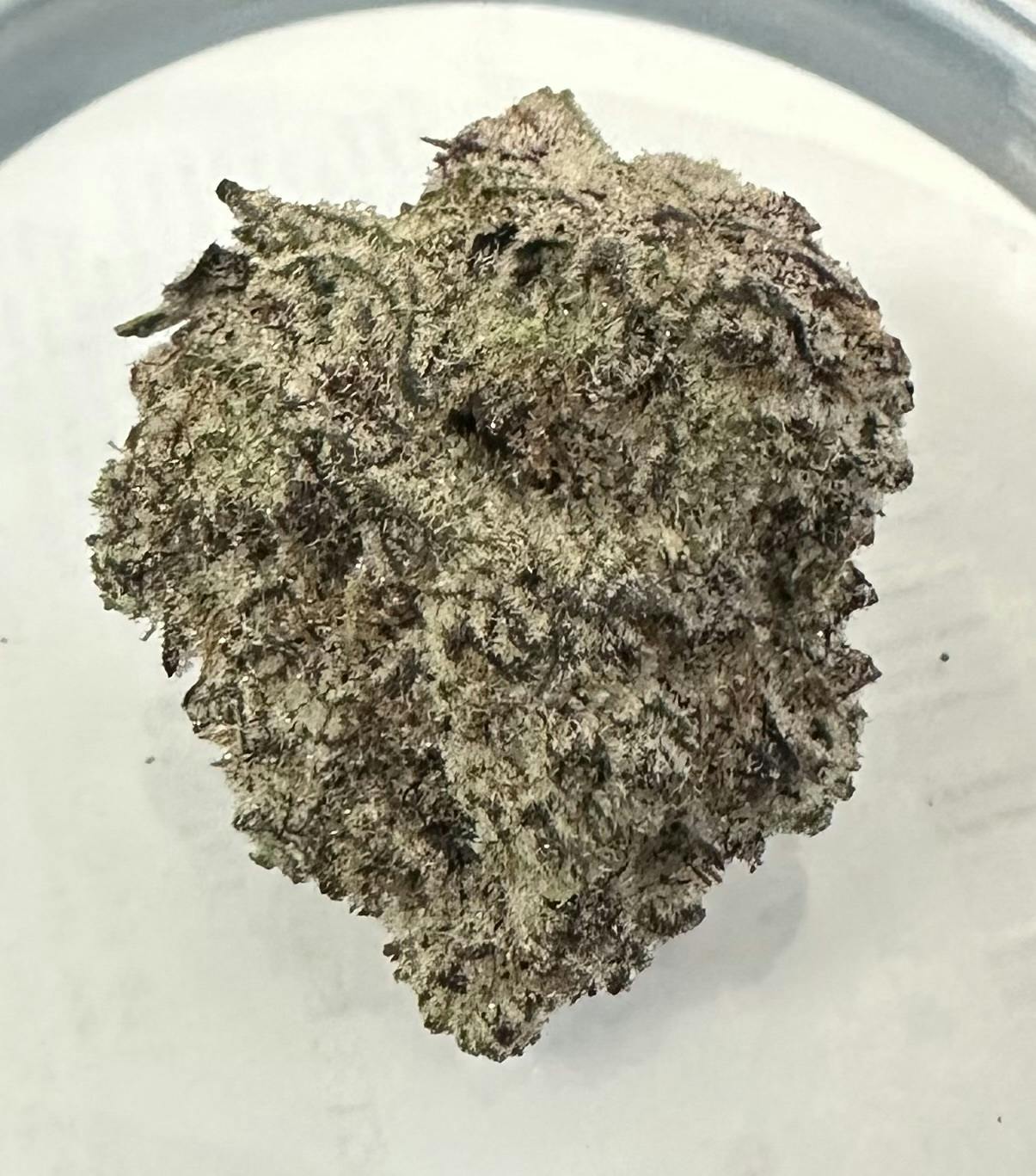 Mercy Tree | Triple Chocolate Chip Flower | 3.5g TIN