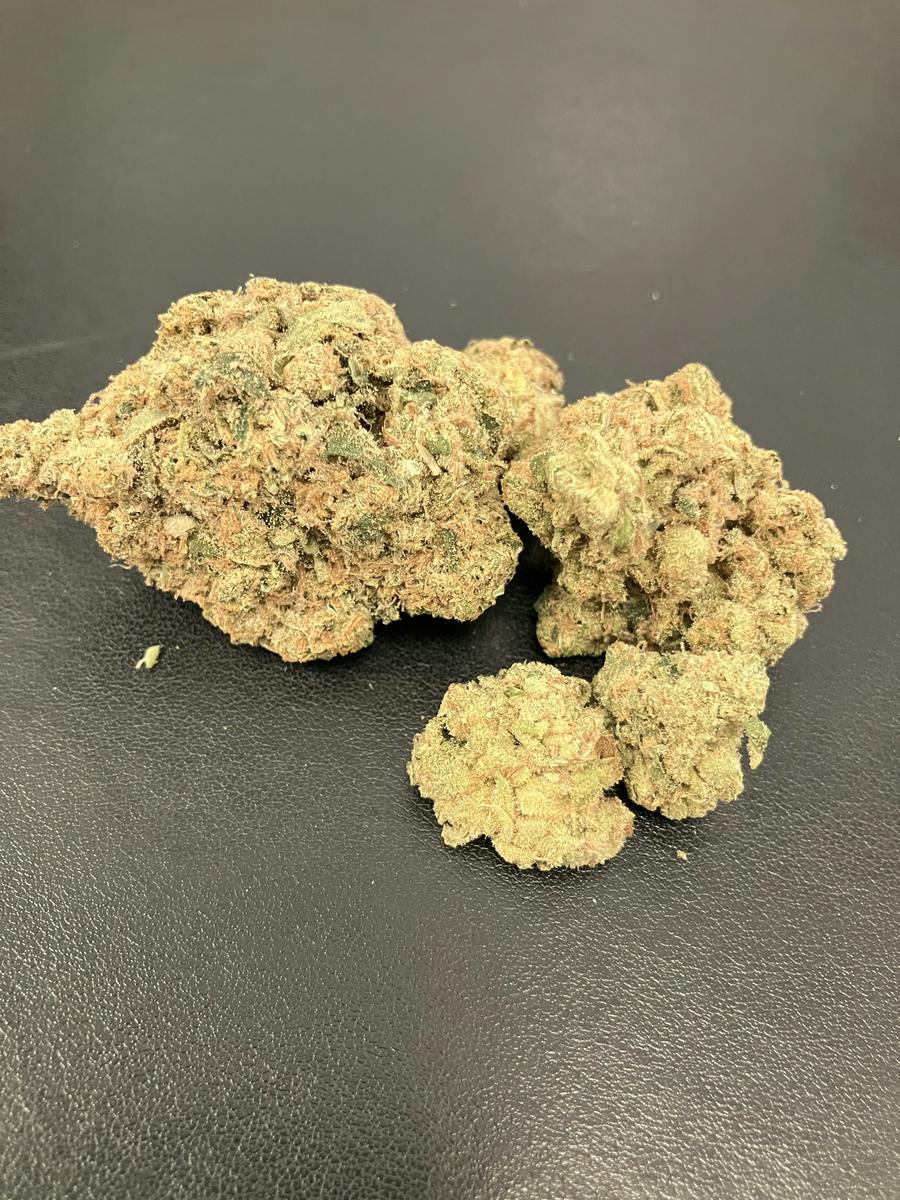 Aurora | Jack Herer Flower | 1g Tin