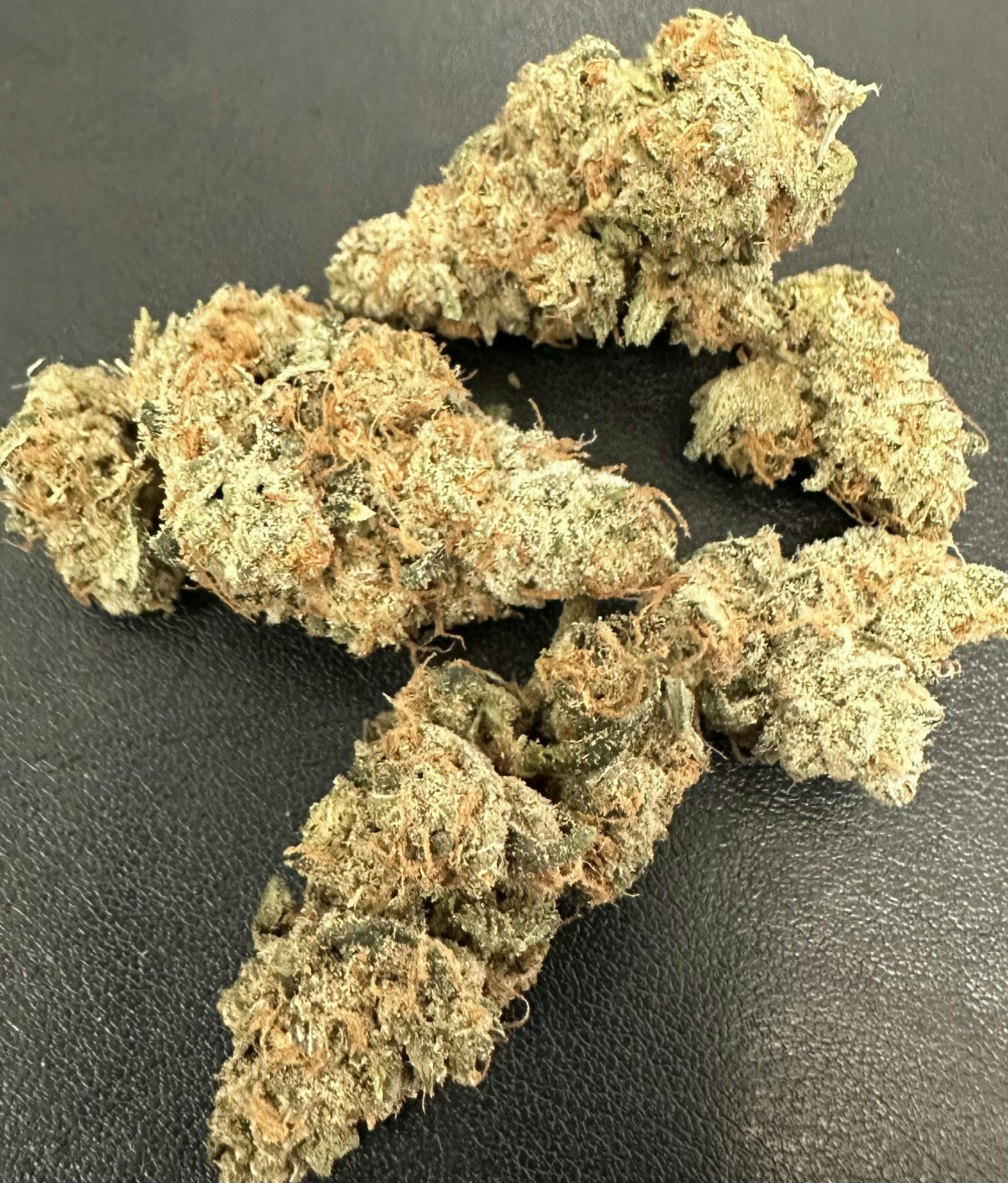 HTF | Shrooms Flower | 7g TIN