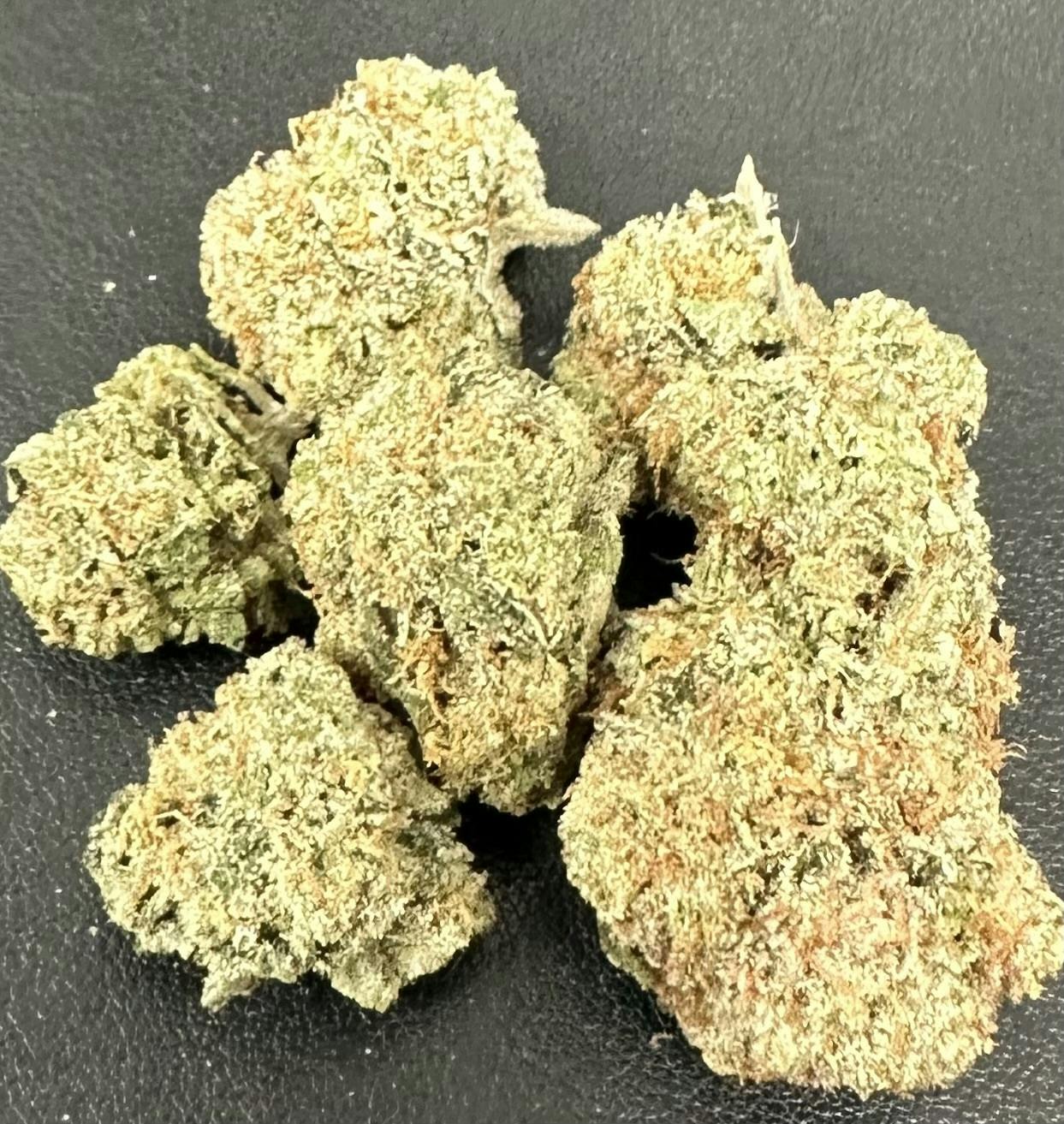 HTF | Candy Store Flower | 1g TIN