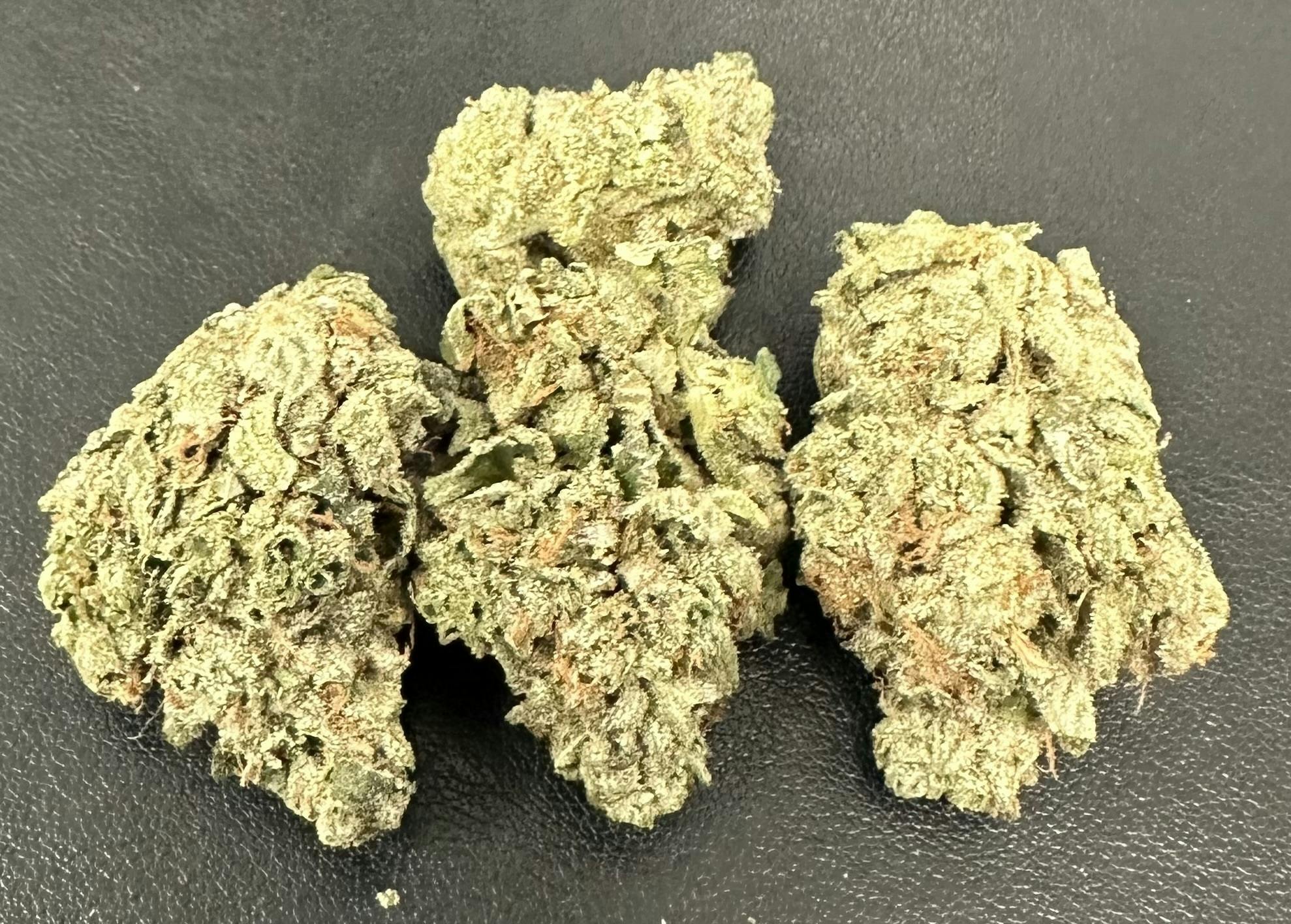 Kasilof | Tuscan Gelato Flower | 3.5g TIN