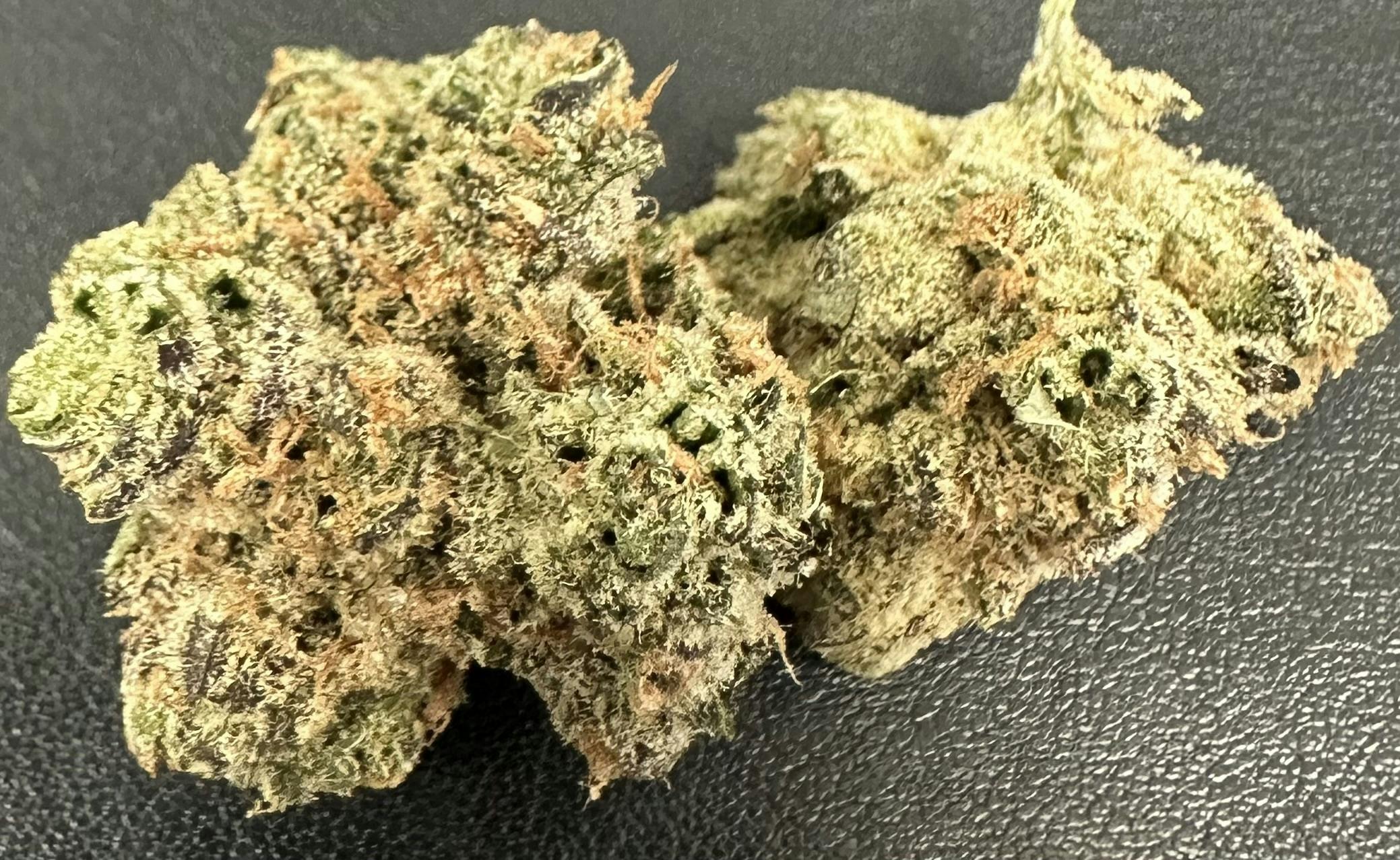 Aurora | Lilac OG Flower | 7g Tin