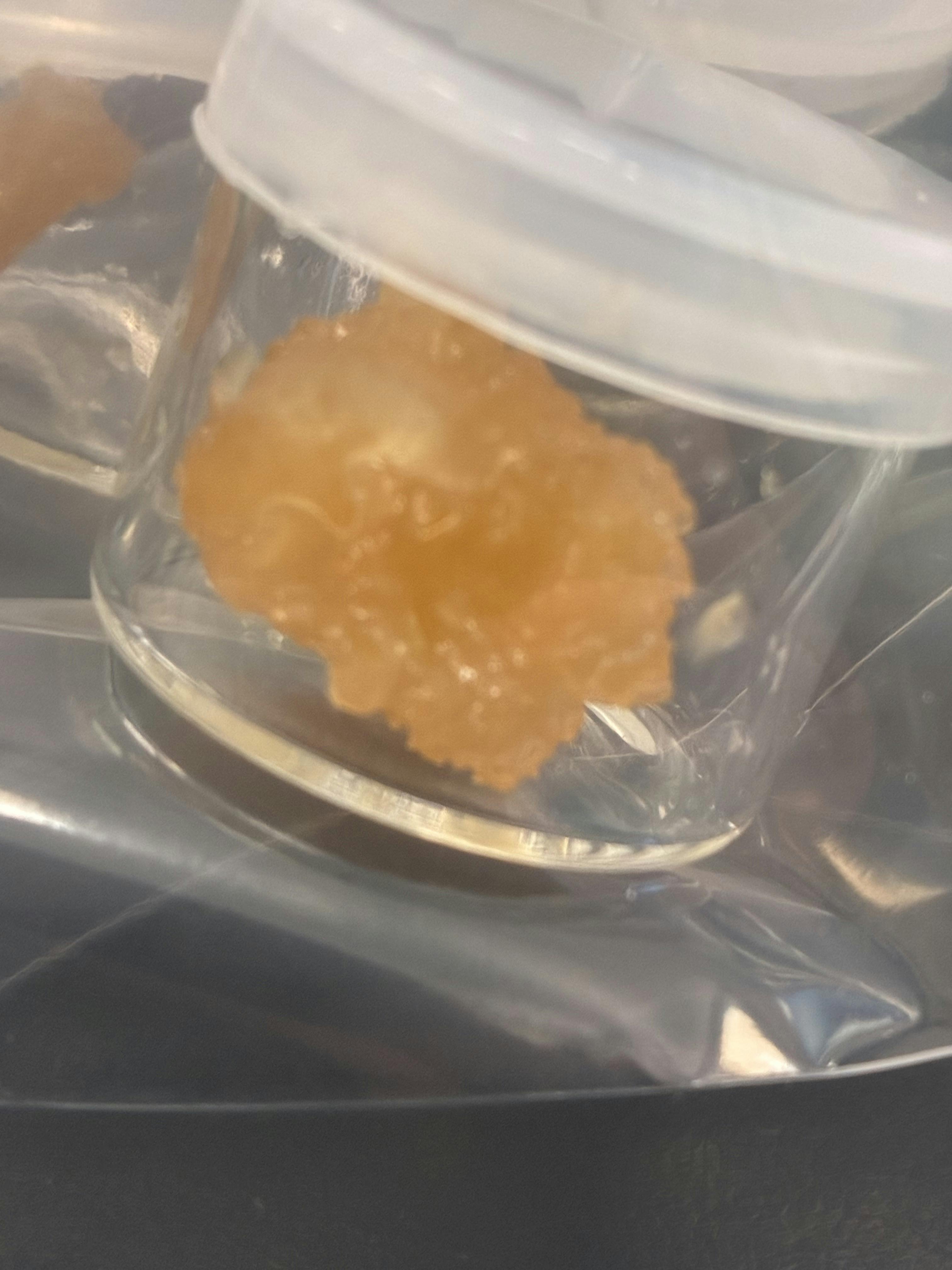 Babylon | Legend OG Sugar | 1g 21619
