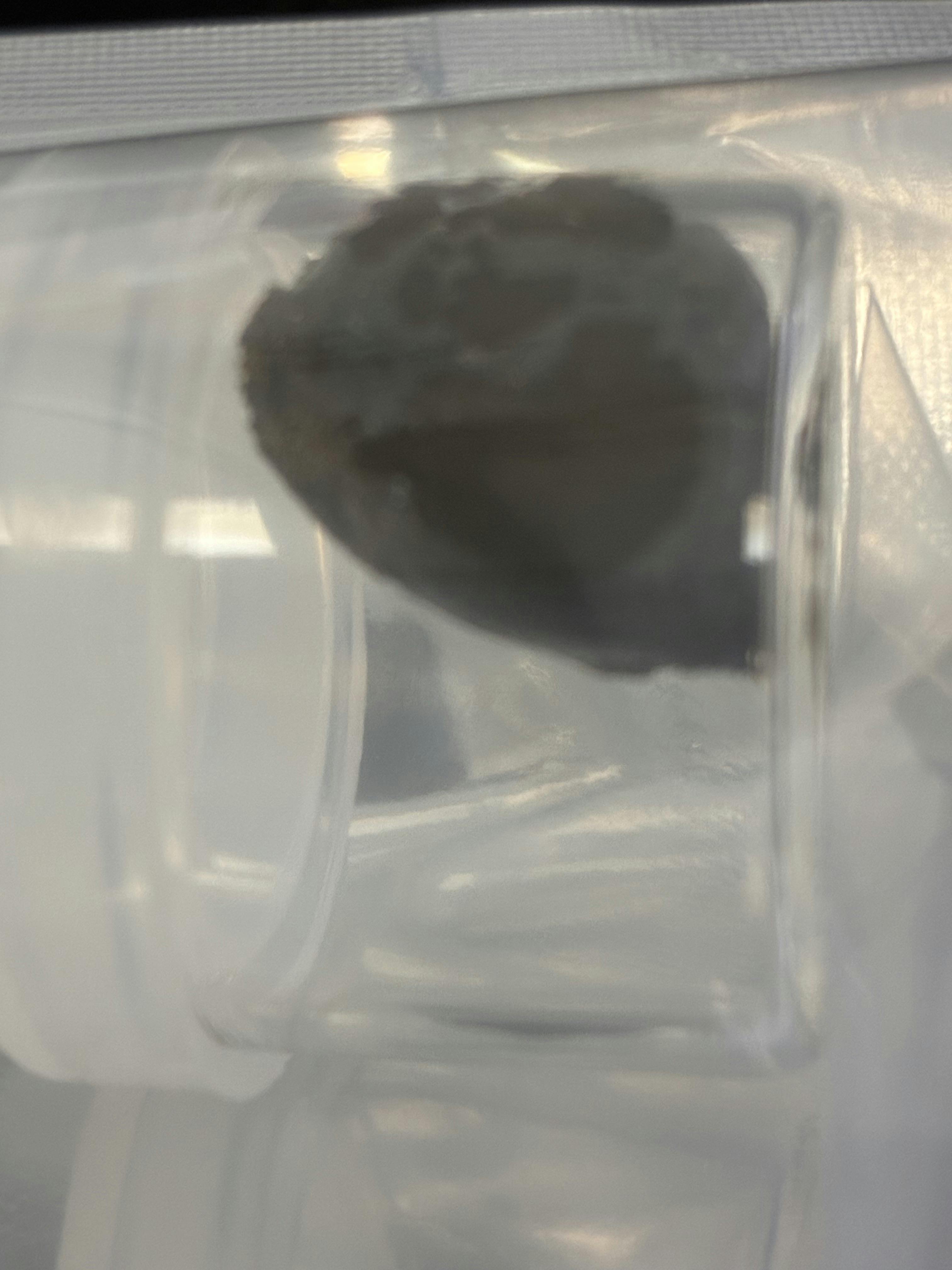 Babylon | Indian Gold Hash | 1g 21619