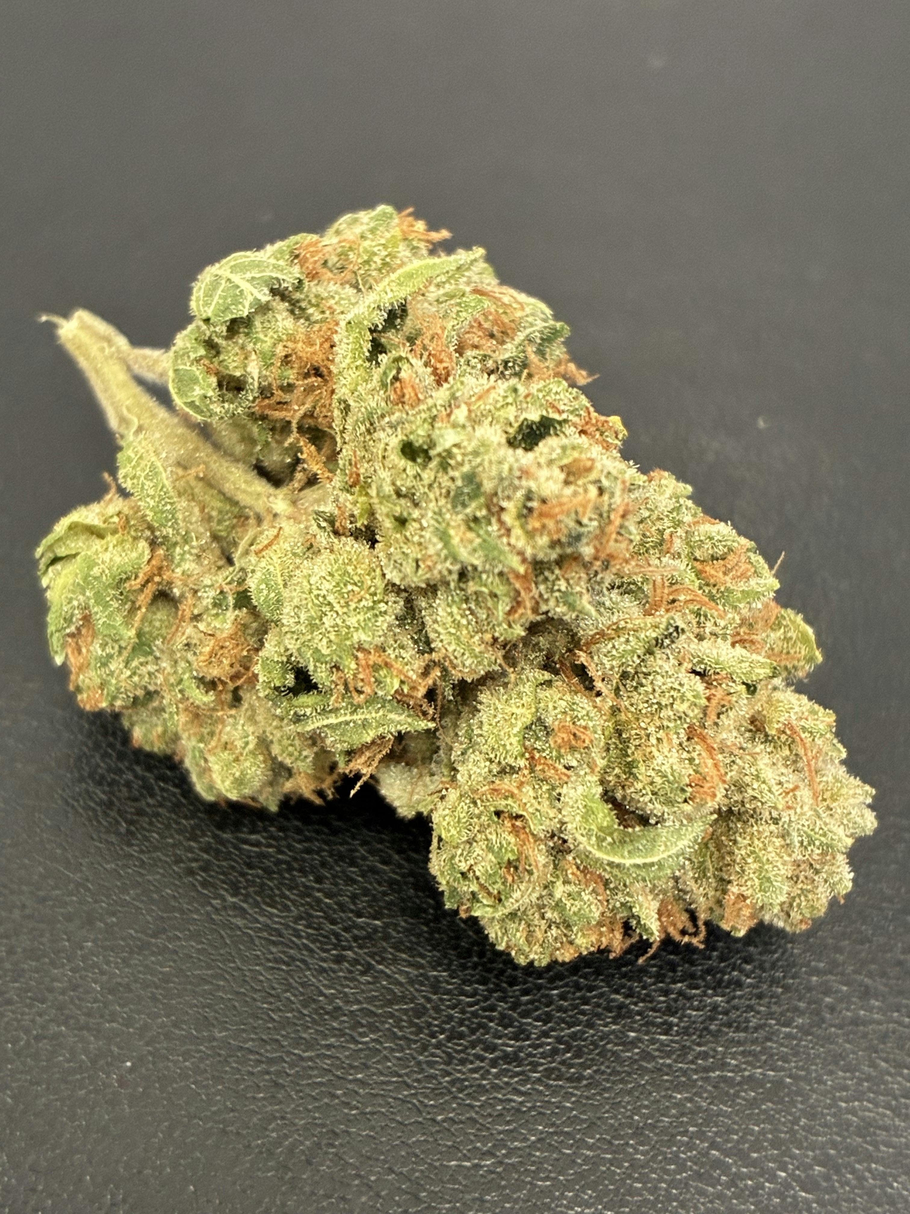 TalkeetnaTraditions | Ghost Dawg Flower | 7g