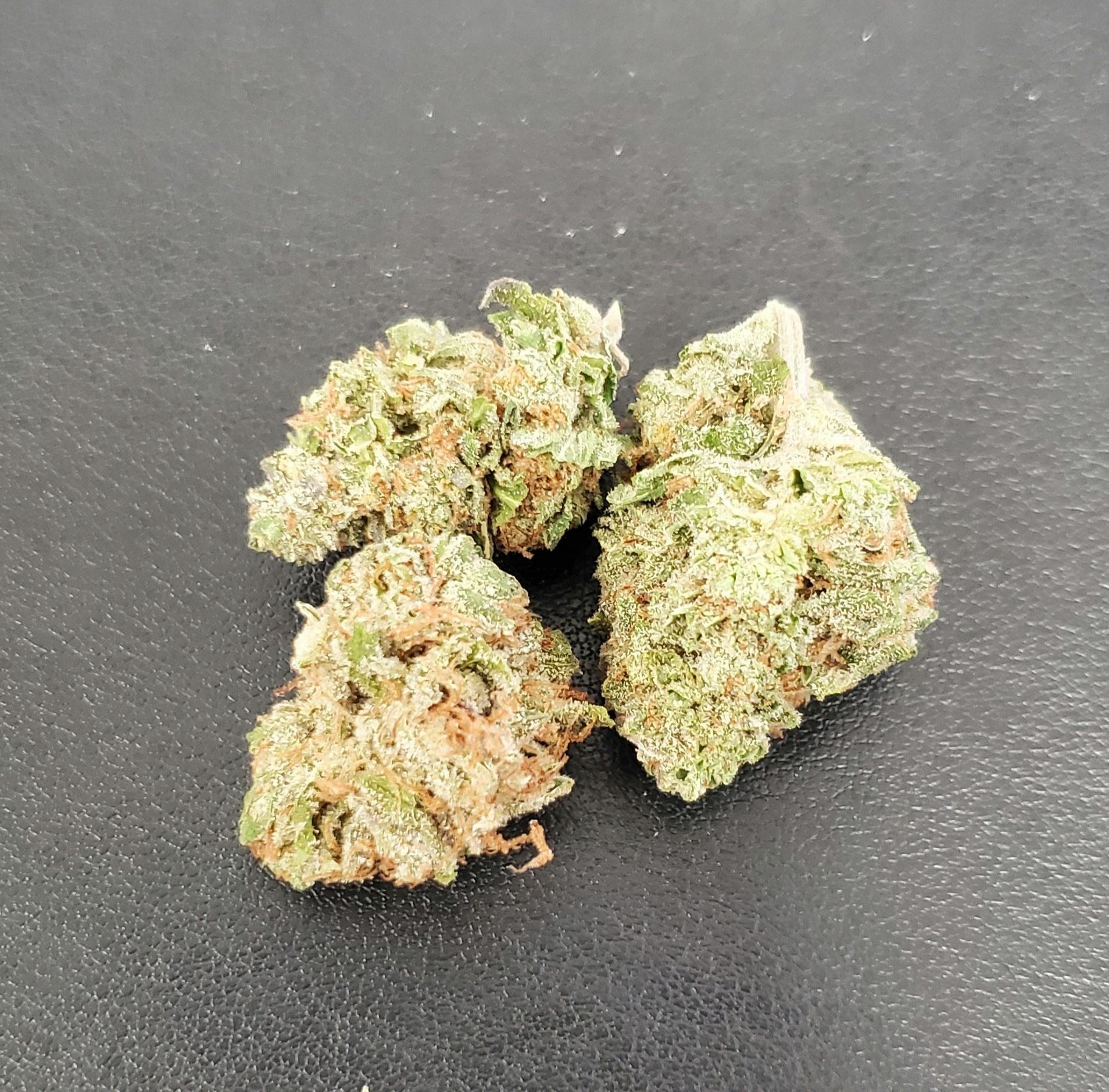 Moon Forest | Gorilla Girl Flower | 7g Tin