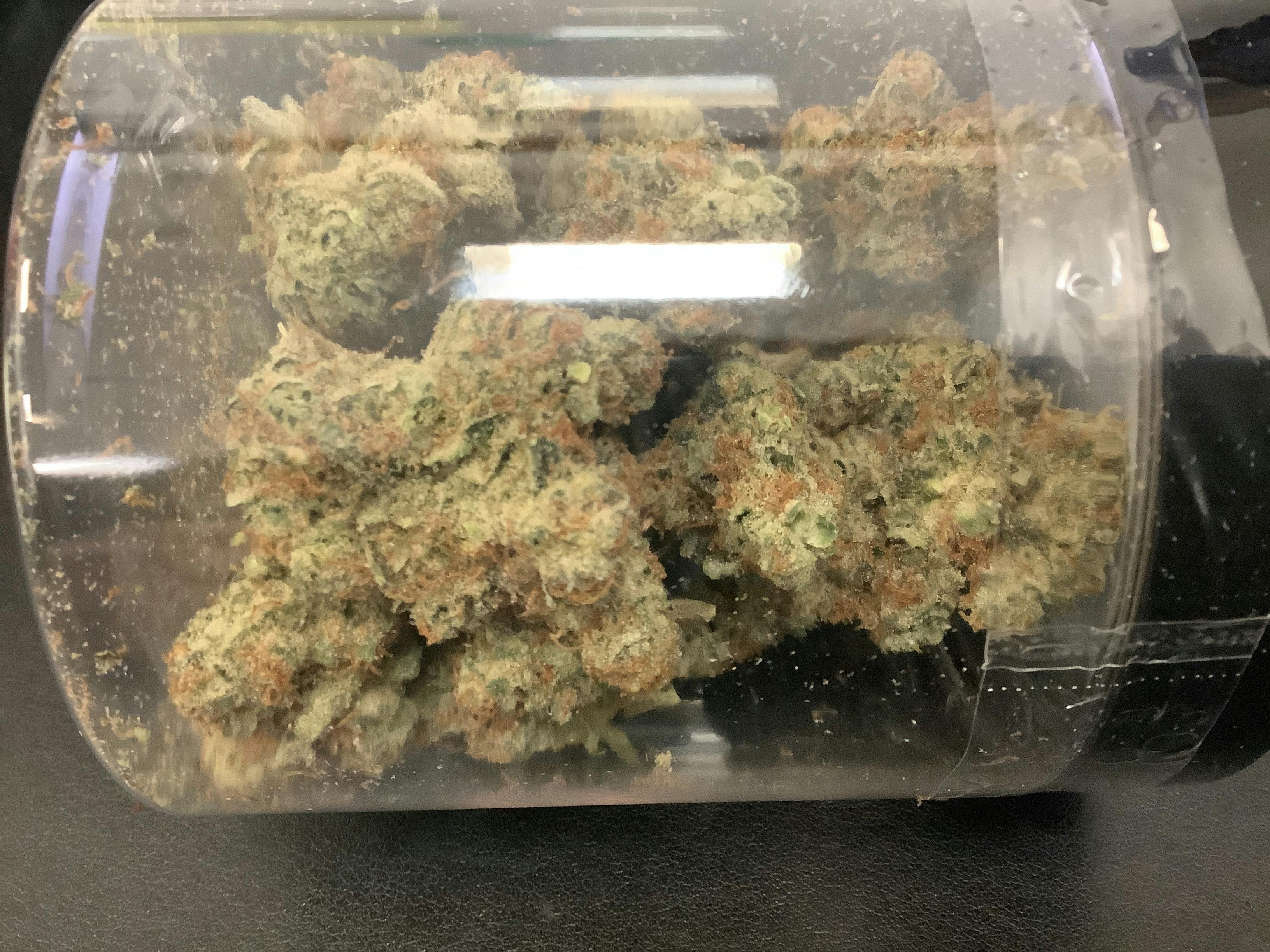 HTF | Dante's Inferno Flower | 14g Jar 21619