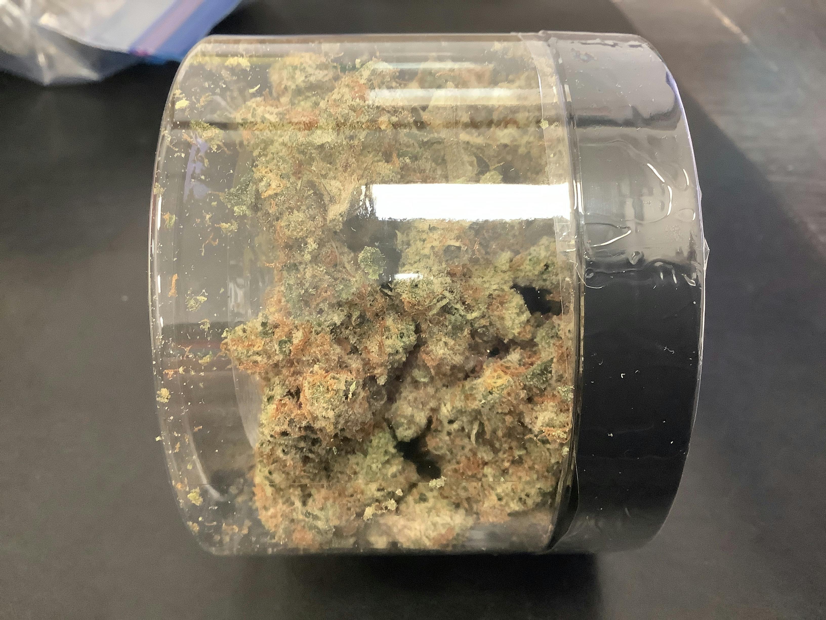 HTF | Dante's Inferno Flower | 28g Jar 21619