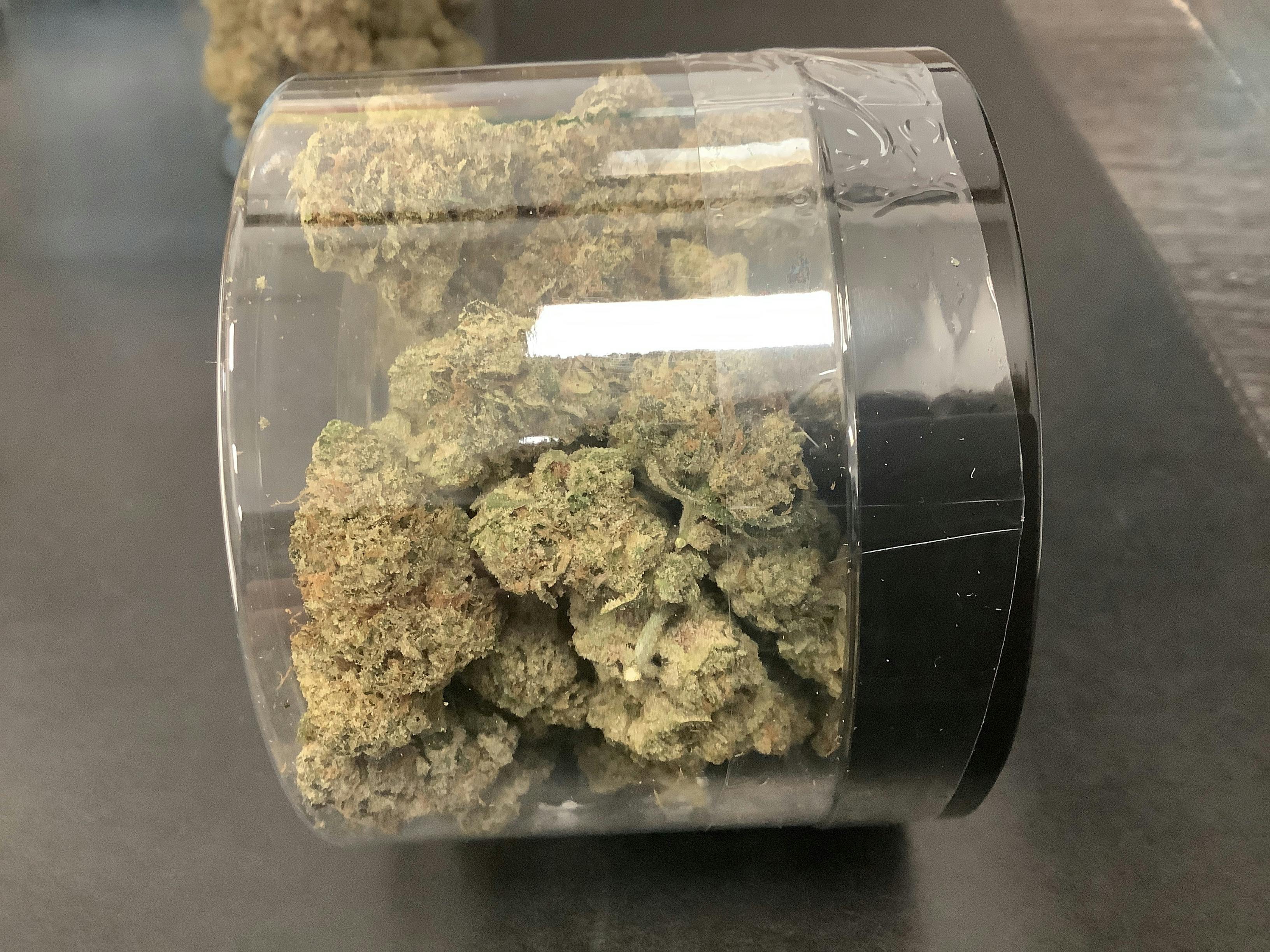 HTF | Pebble Wreck Flower | 28g Jar 21619