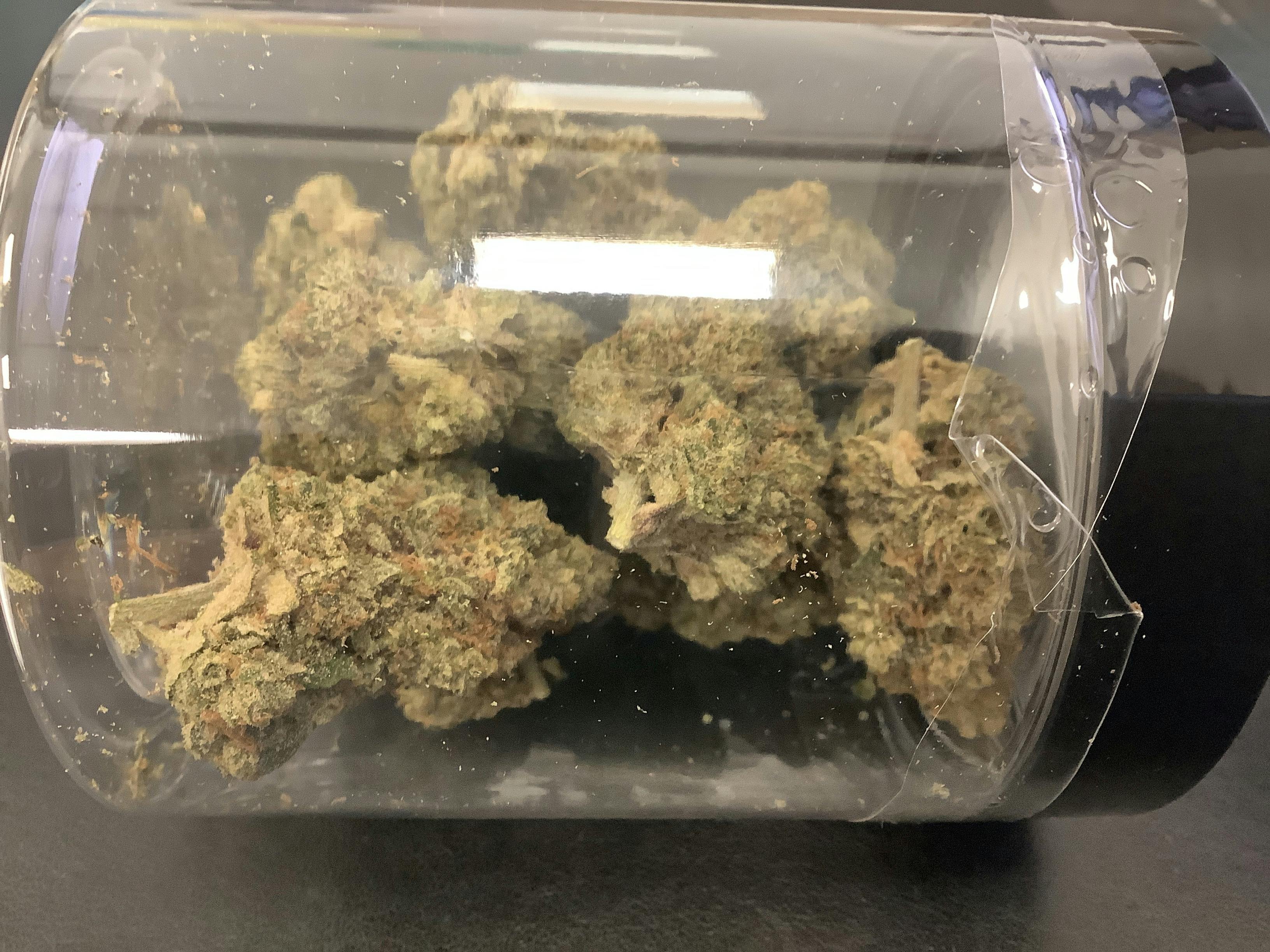 HTF | Pebble Wreck Flower | 14g Jar 21619