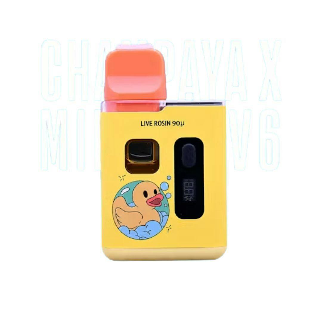 JAMCO: Champaya X Mimosa