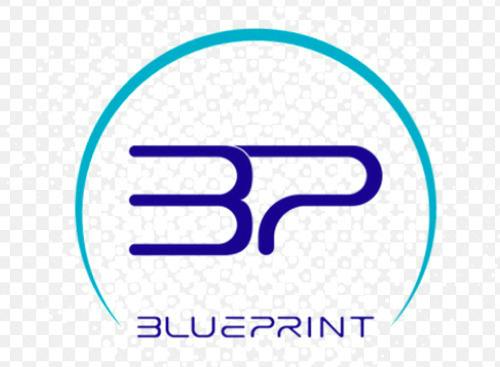 Blue Print | Limez - 3.5g Flower