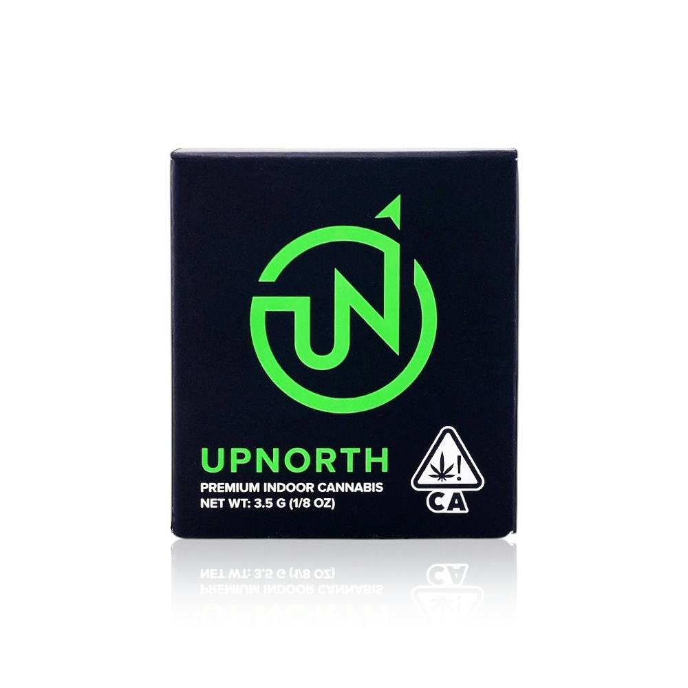 UpNorth: Northern Lights