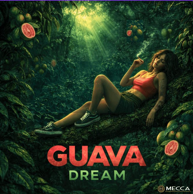 Mecca - $12.50/22.21 — Guava Dream