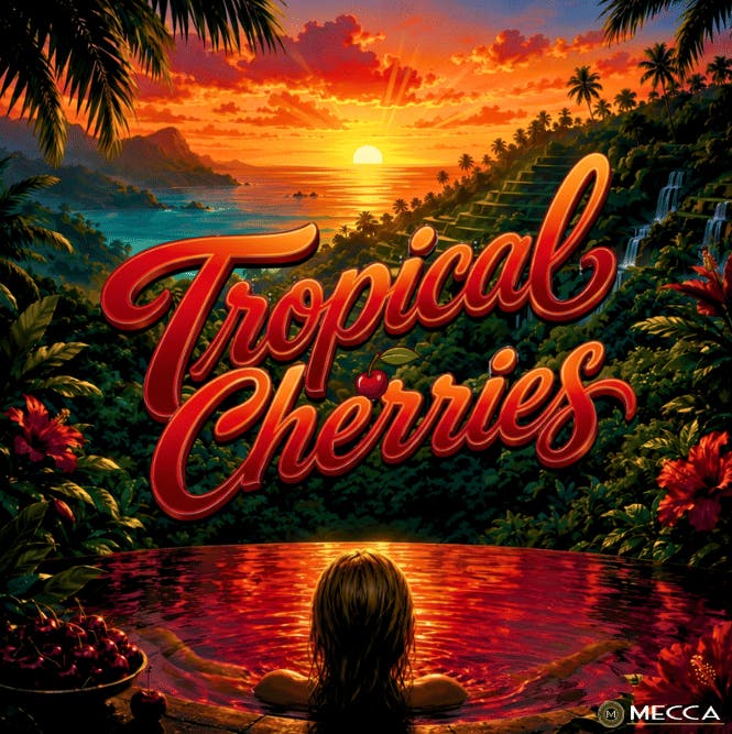 Mecca - $18.02/$54.10 - Tropical Cherries - Gram