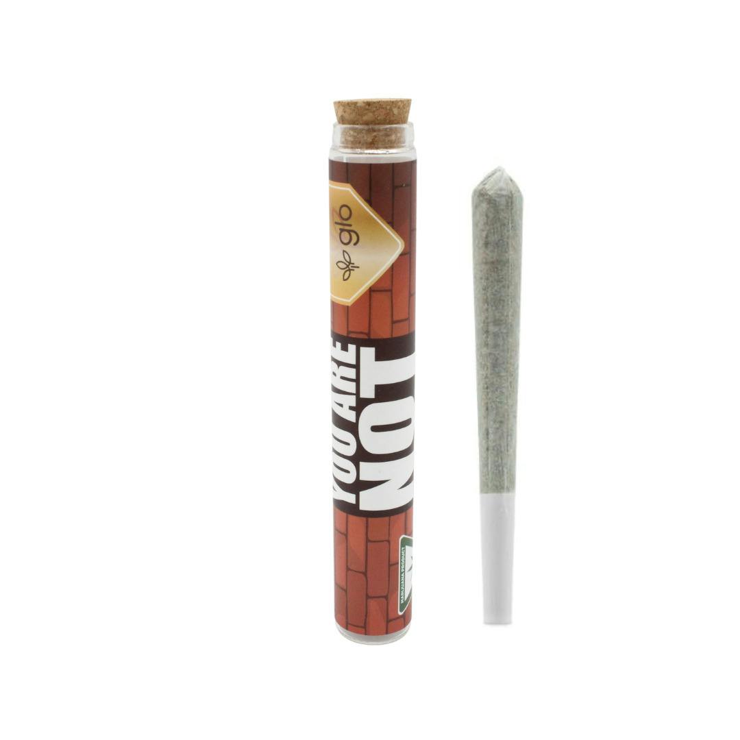 Glo Farms | You Are Not The Father Infused Pre-Roll