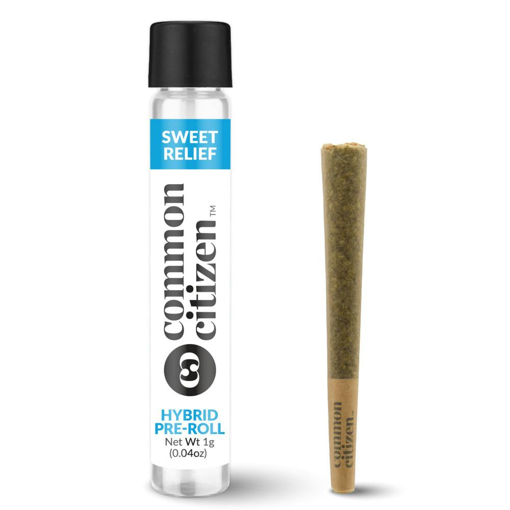 Common Citizen | Hollywood Ghost Pre-Roll