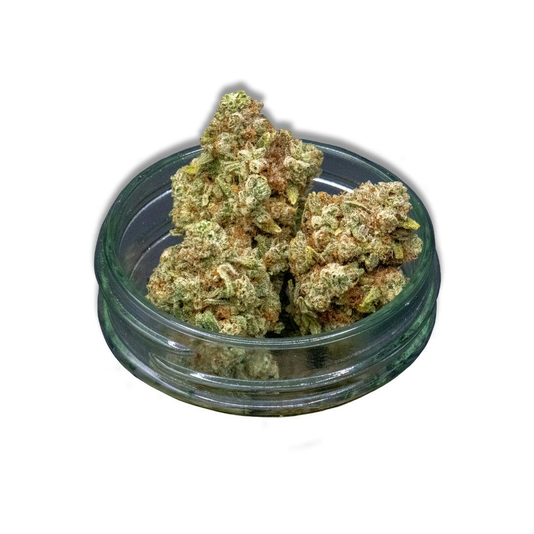 Common Citizen | Glue Cheese Hand-Trimmed Bulk Flower