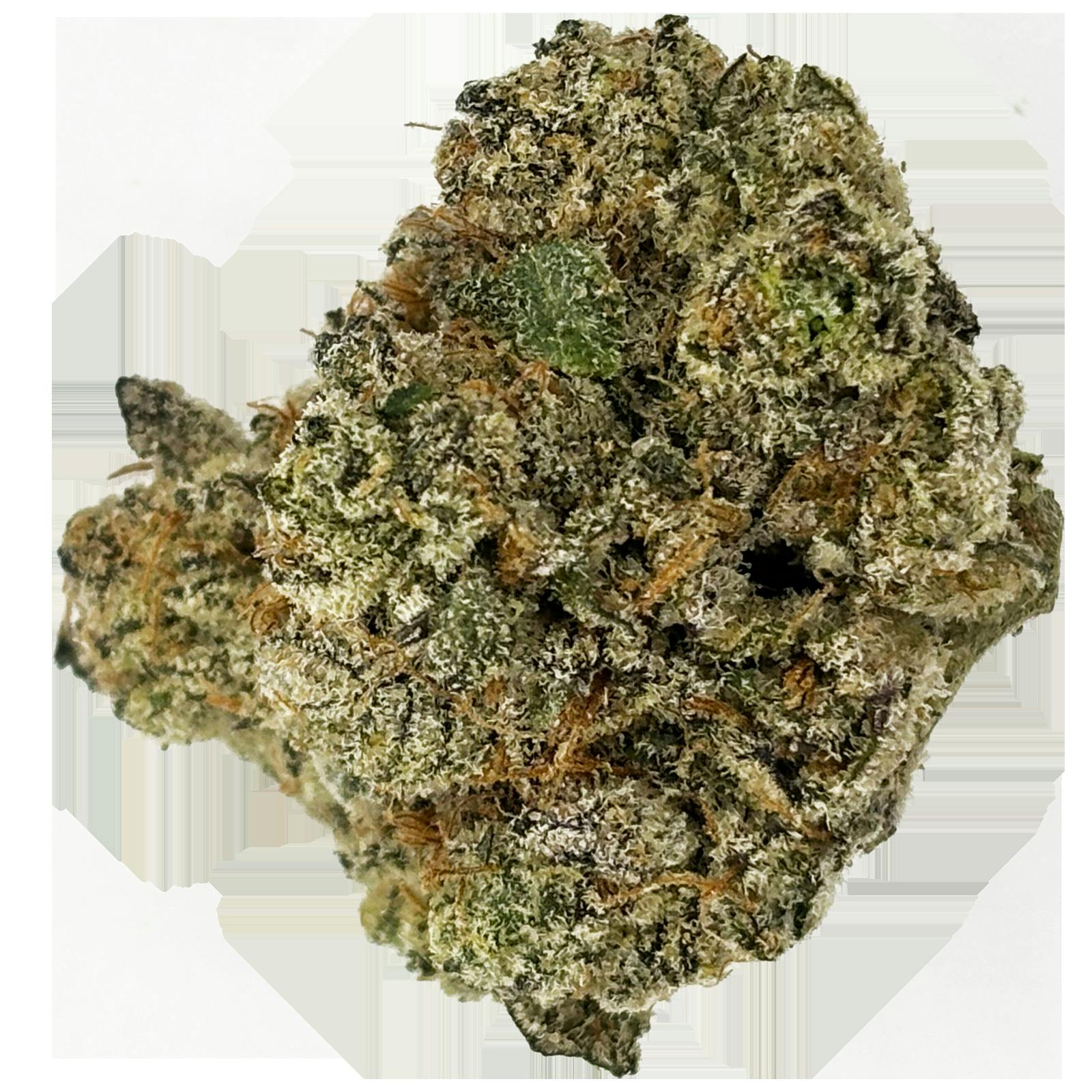Medcanna | LA Pop Rocks x Purple Push Pop Bulk Flower