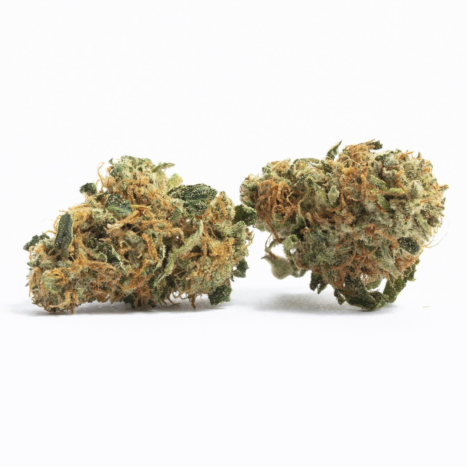 Gold Shelf - Mush Mouth (S) cannabis product