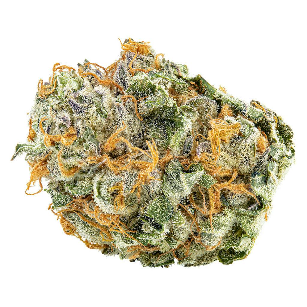 Big Bag O’ Buds - Black Cherry Punch - Indica - 28g