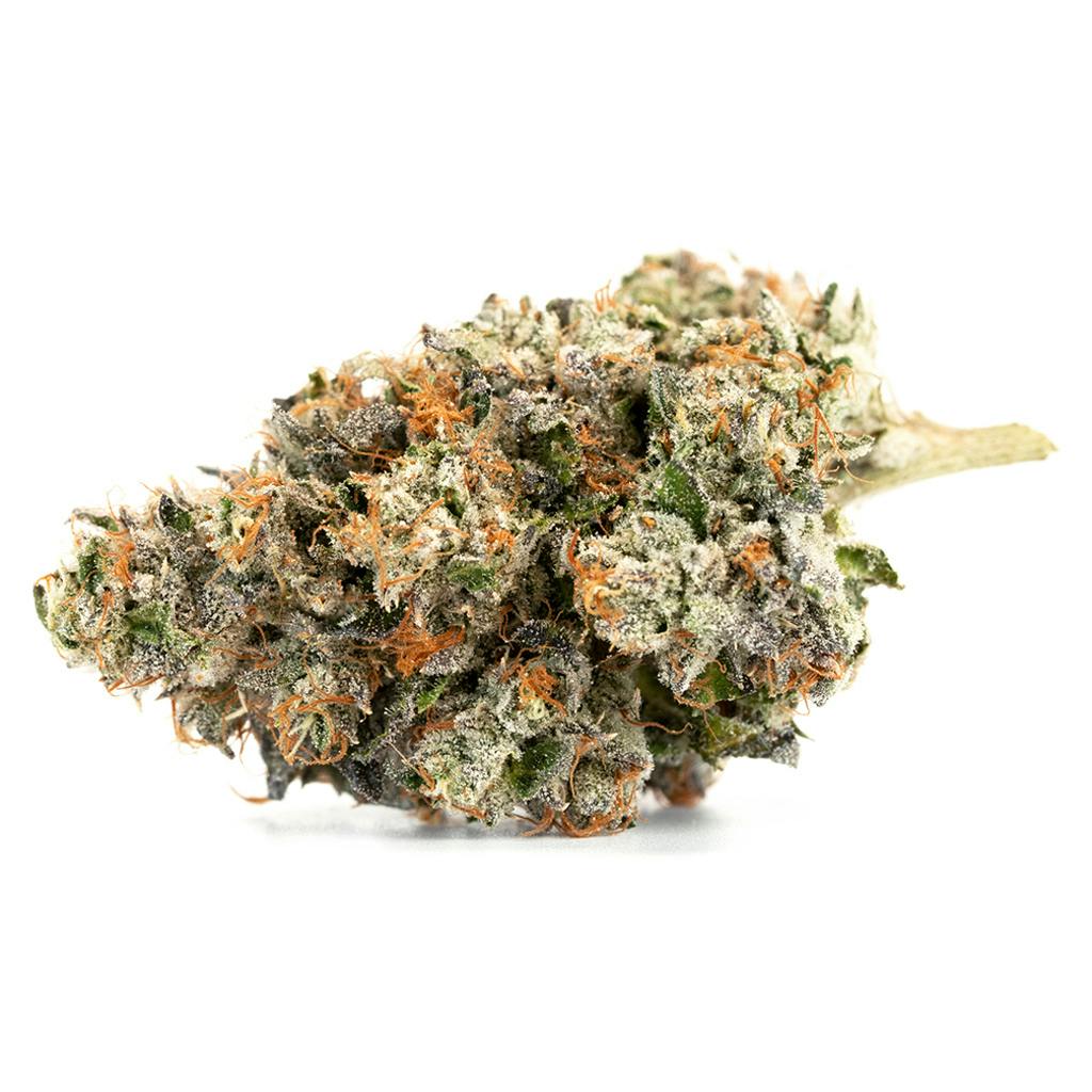 Organnicraft - Nitro Cookies - Hybrid - 3.5g