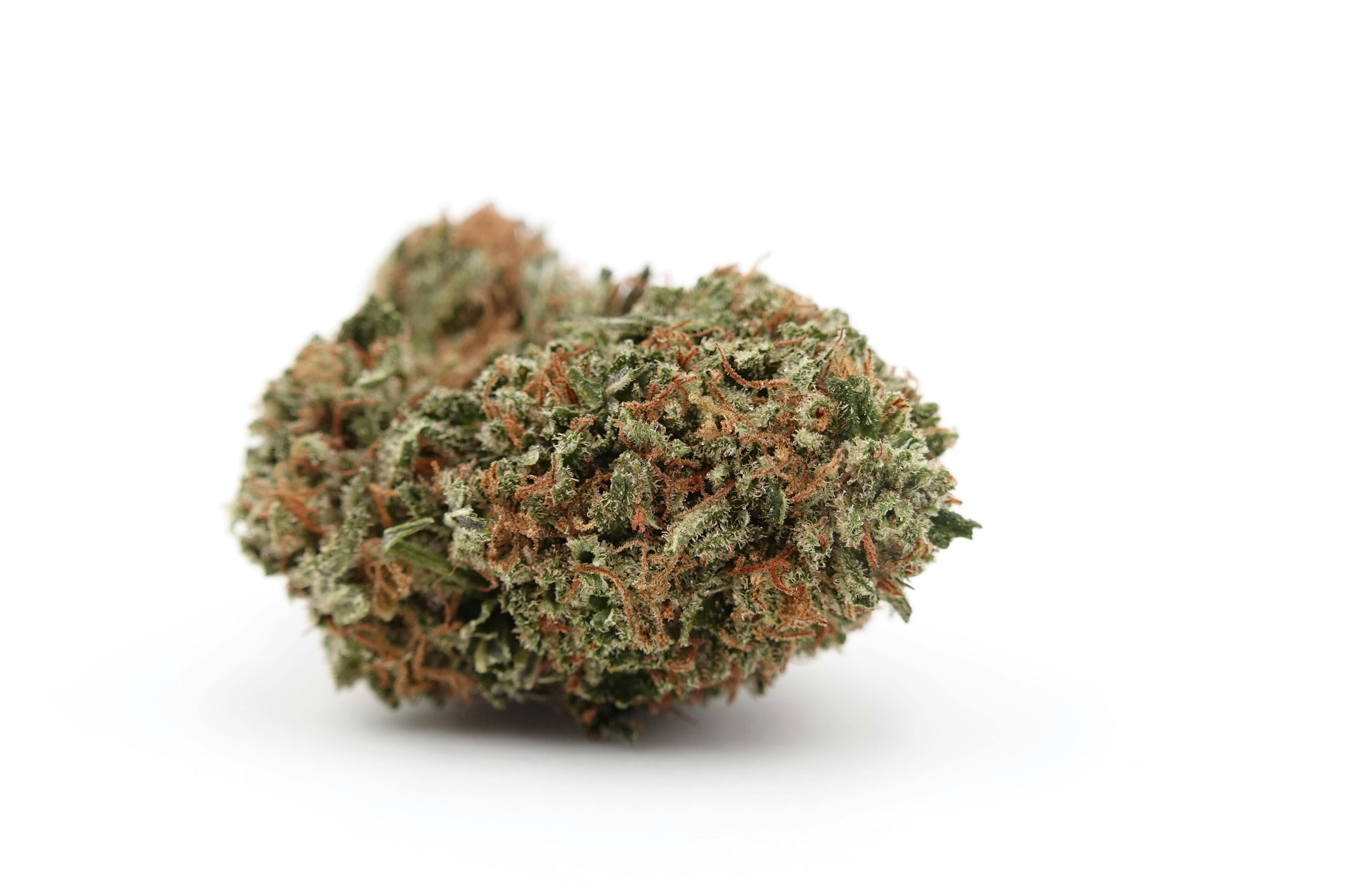 Candy Blossom (2:1) - East Fork Cultivars (C)