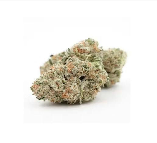 Crimson Tide - Deep Creek Gardens (H)