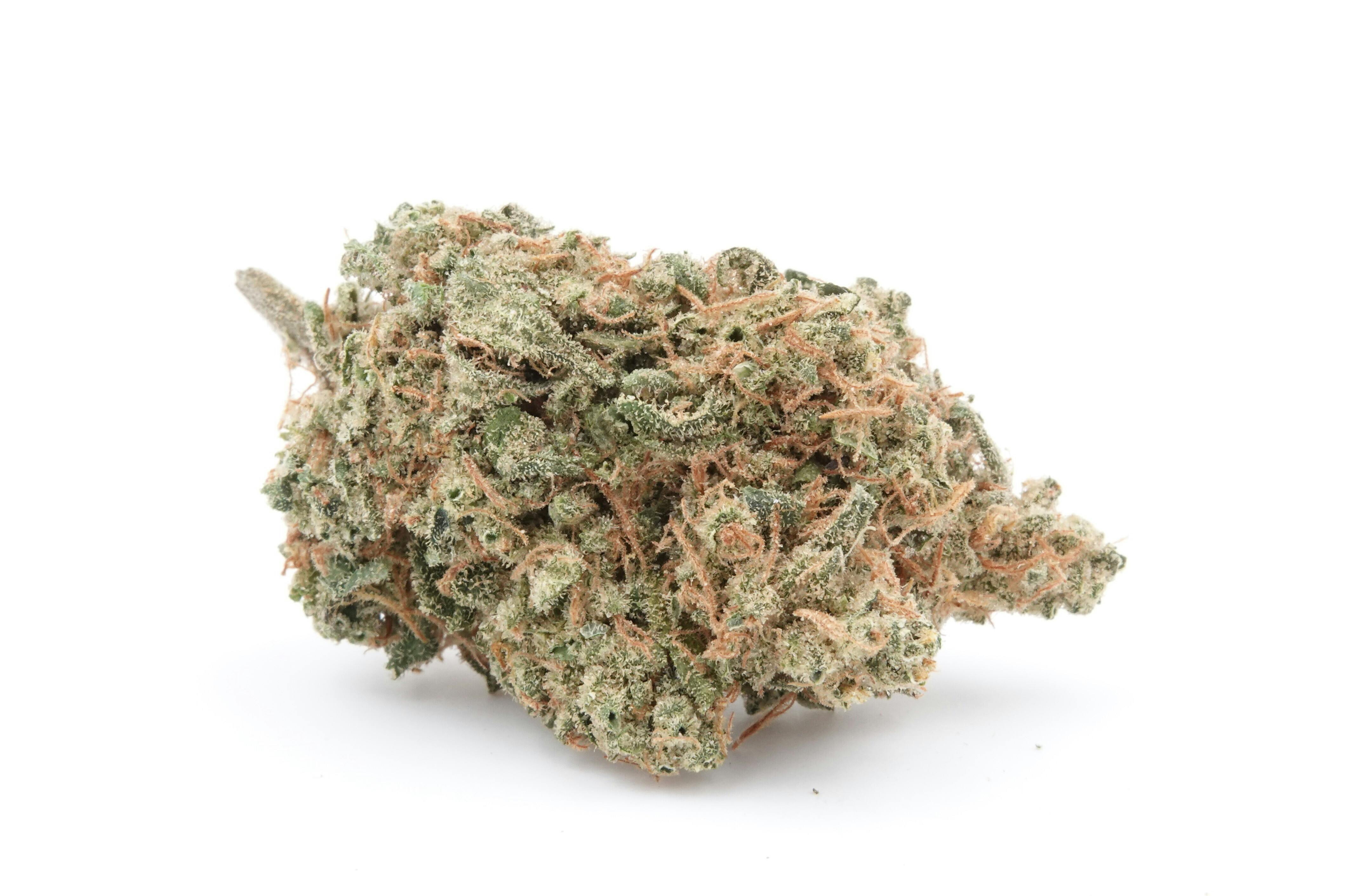 Pineapple Aloha - Gaia's Ganja Garden (S)