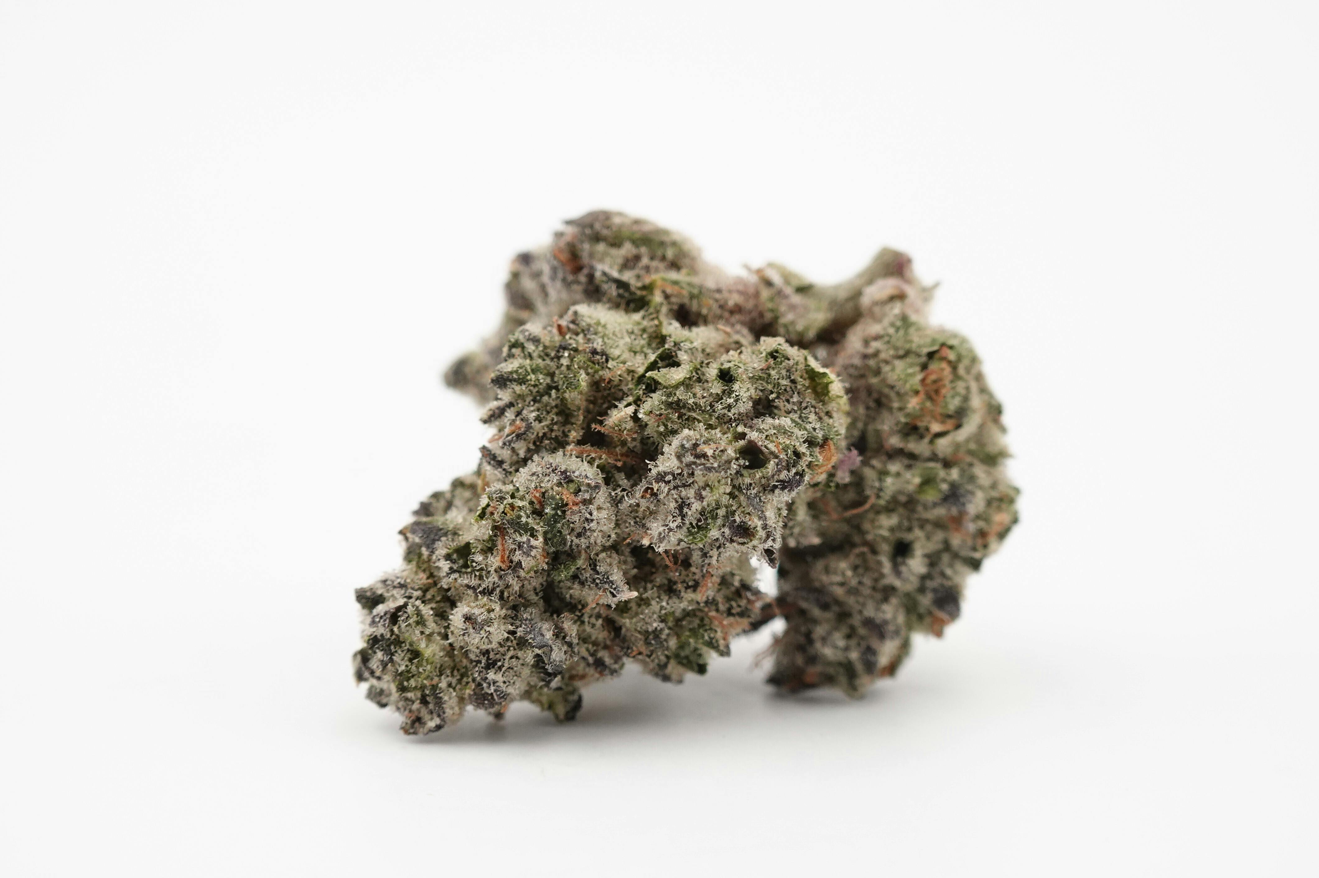 Banana Durban - Resin Ranchers (SH)