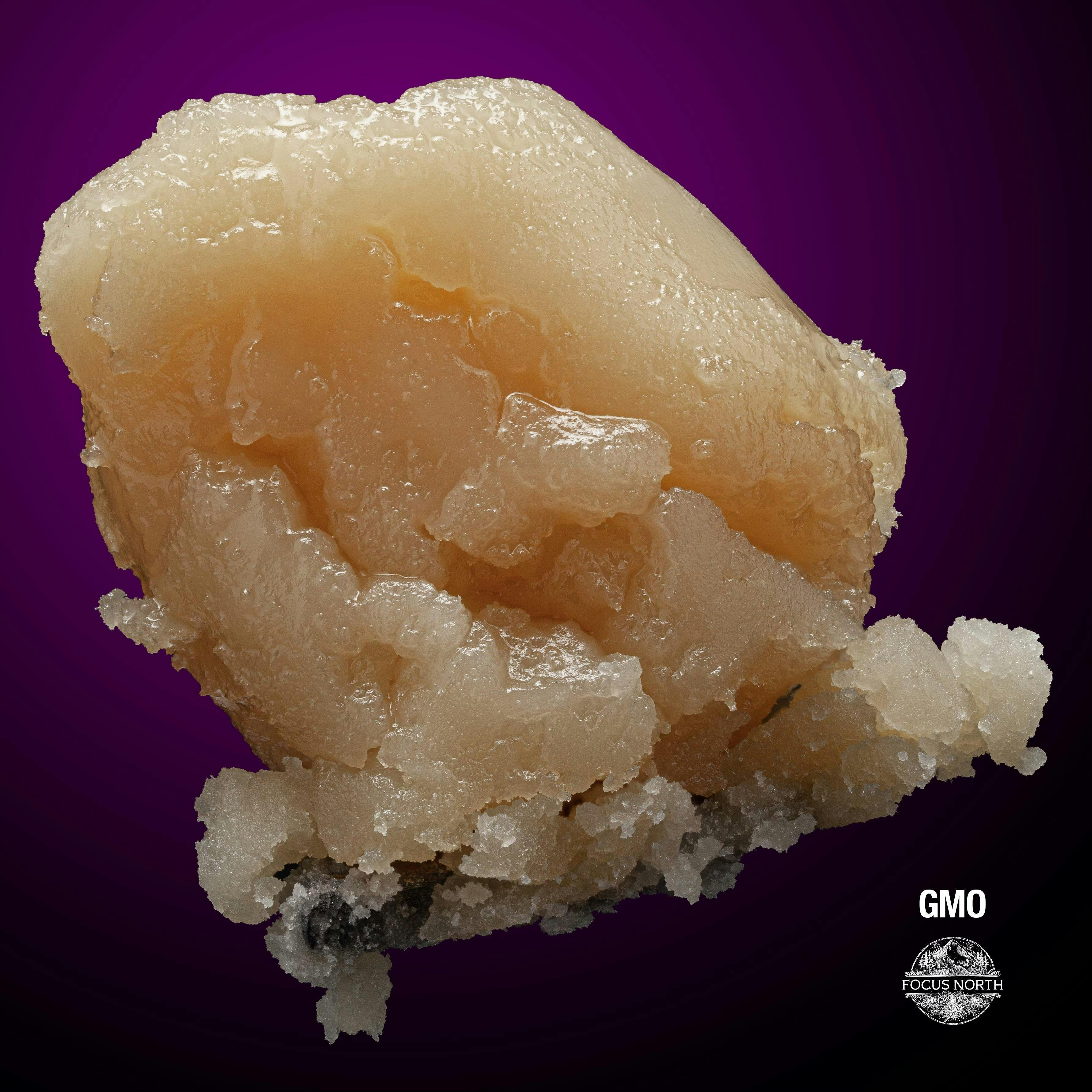 Terple 2g Live Rosin (H)