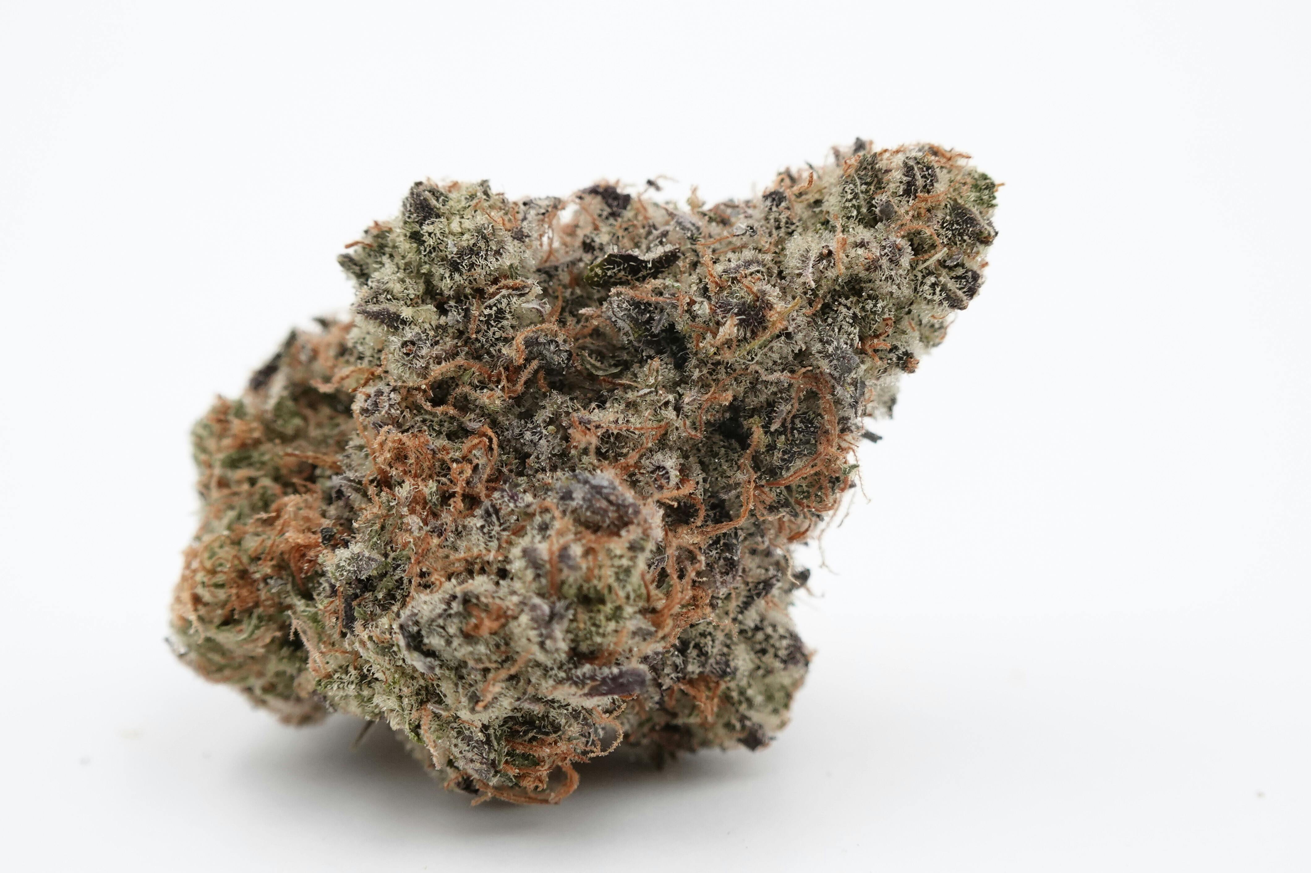 Bonkers - Deep Creek Gardens (SH)