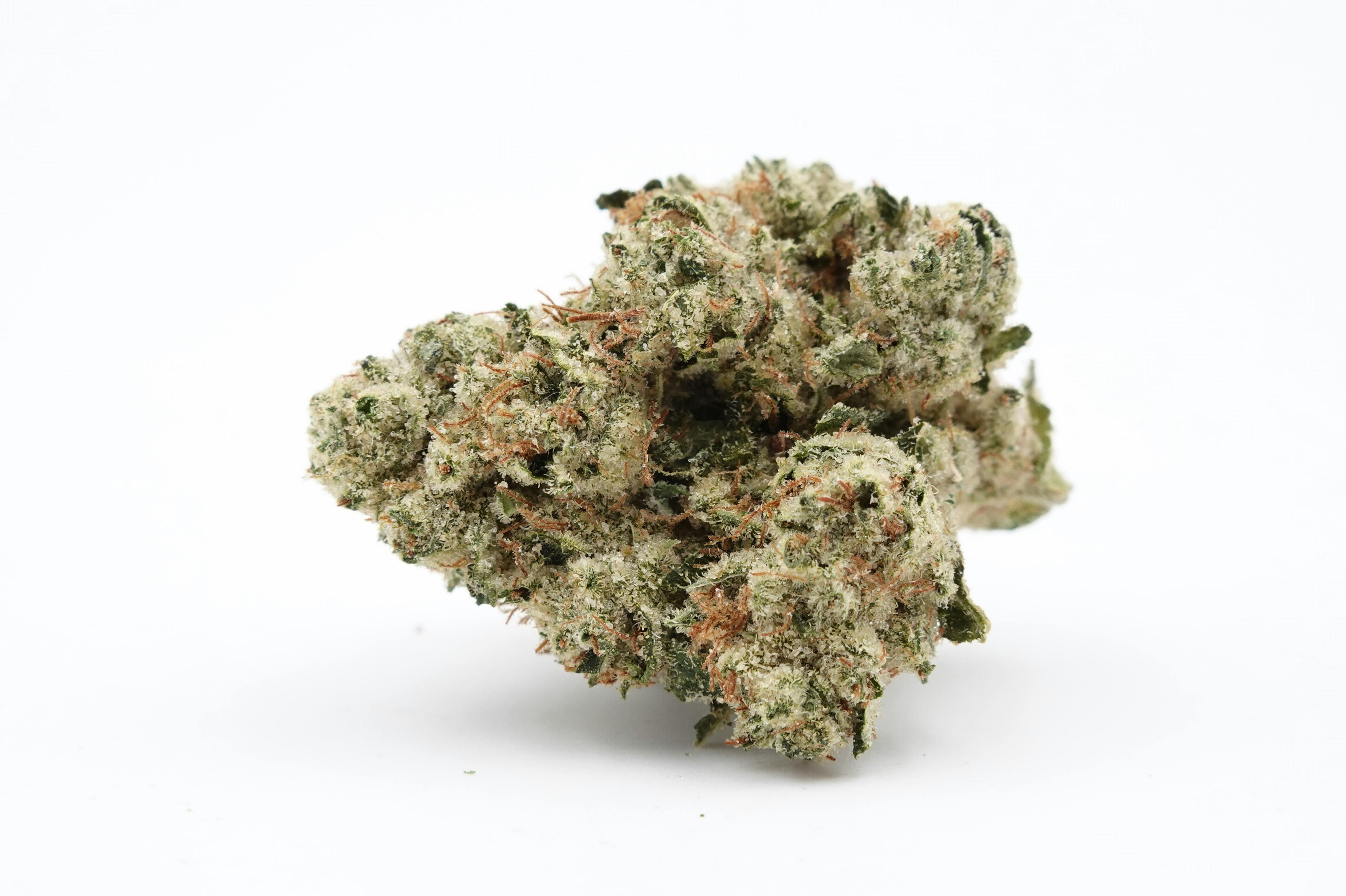 Fire OG - Focus North (IH)