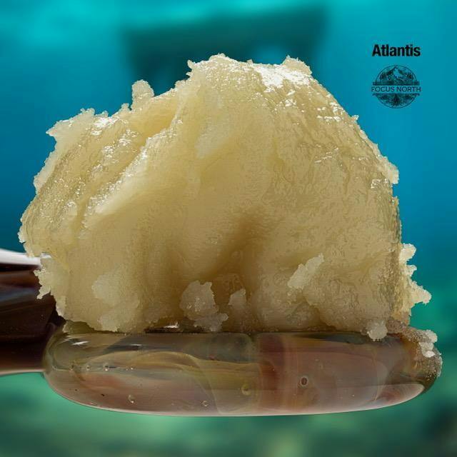 Moon Paver #3 Live Rosin (H)
