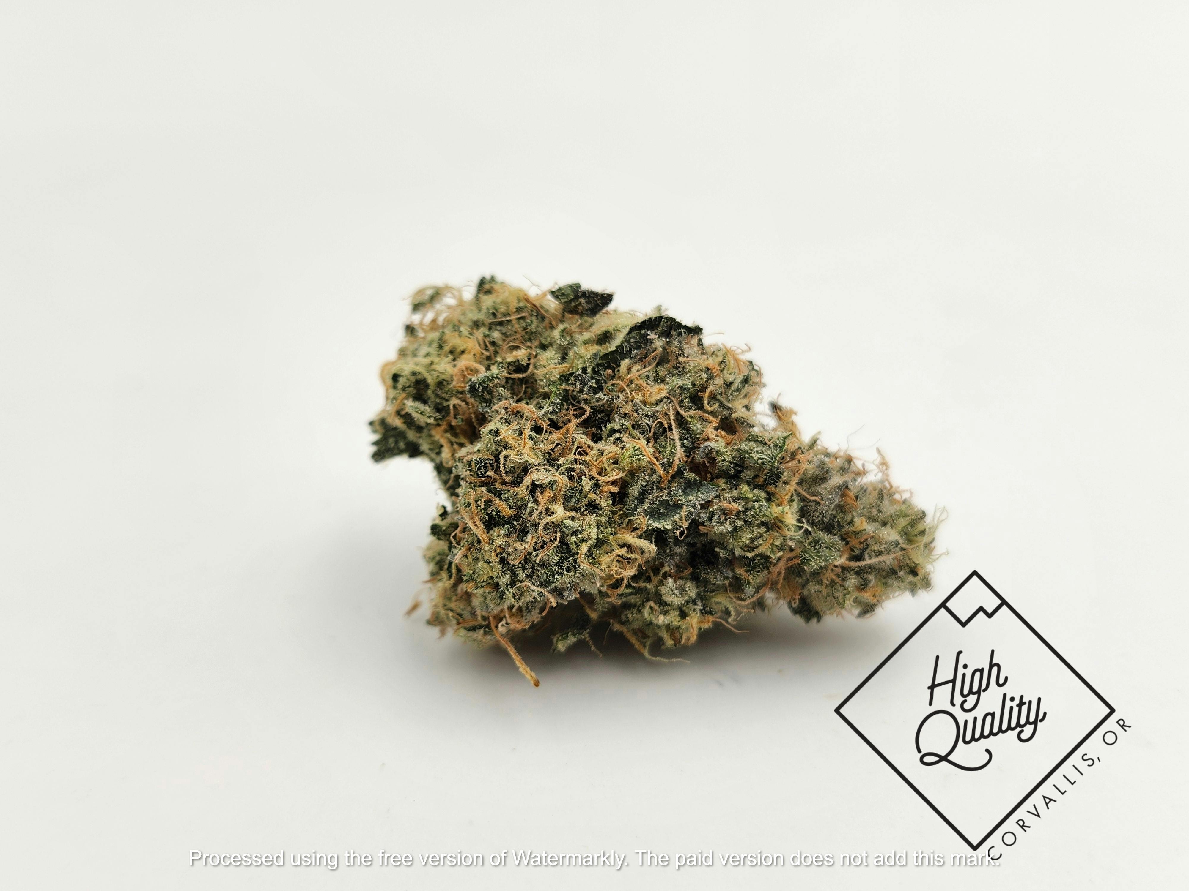 SFV OG - Surfr Select (H)