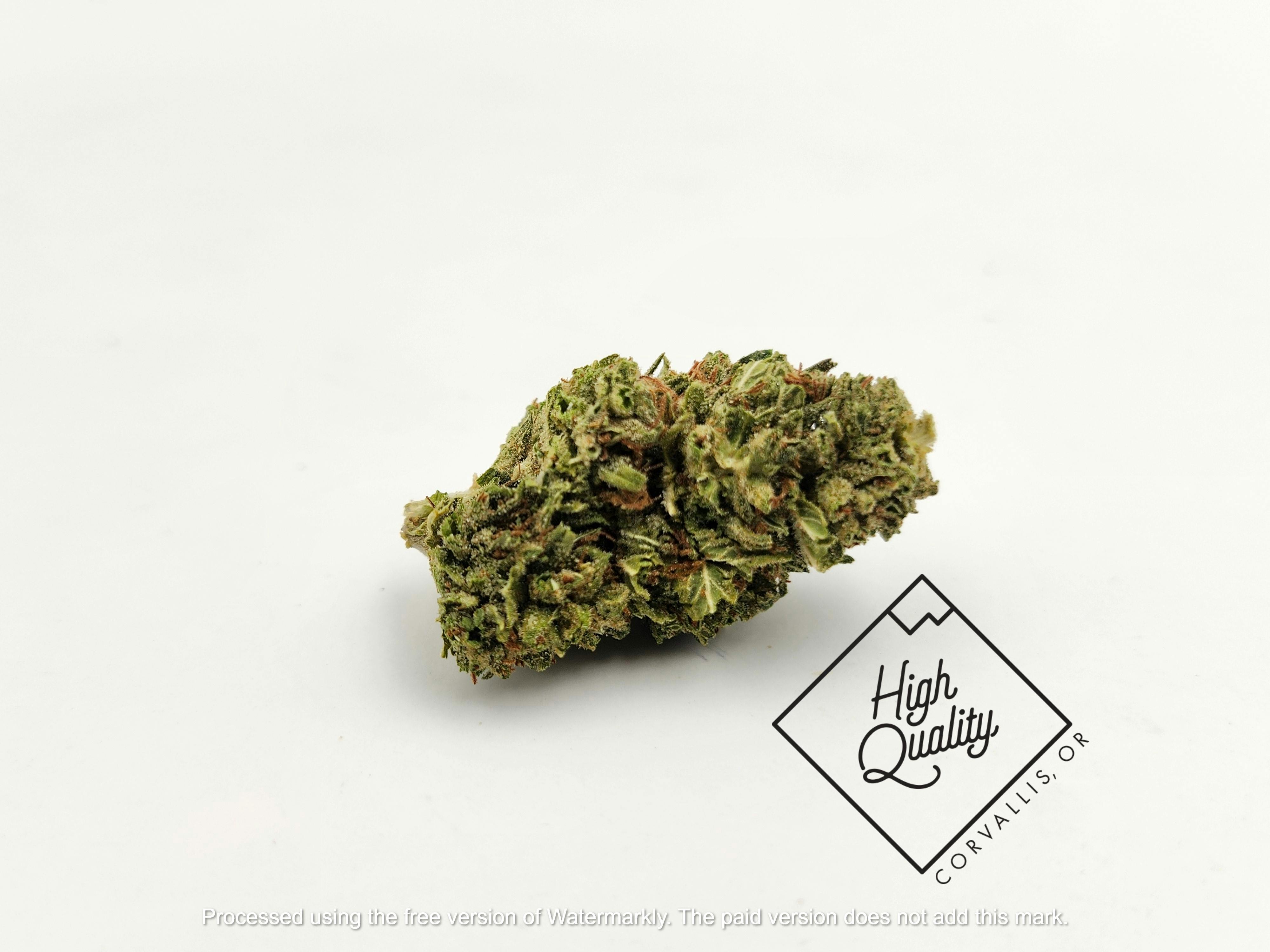 Lemon Octane - East Fork Cultivars (C)
