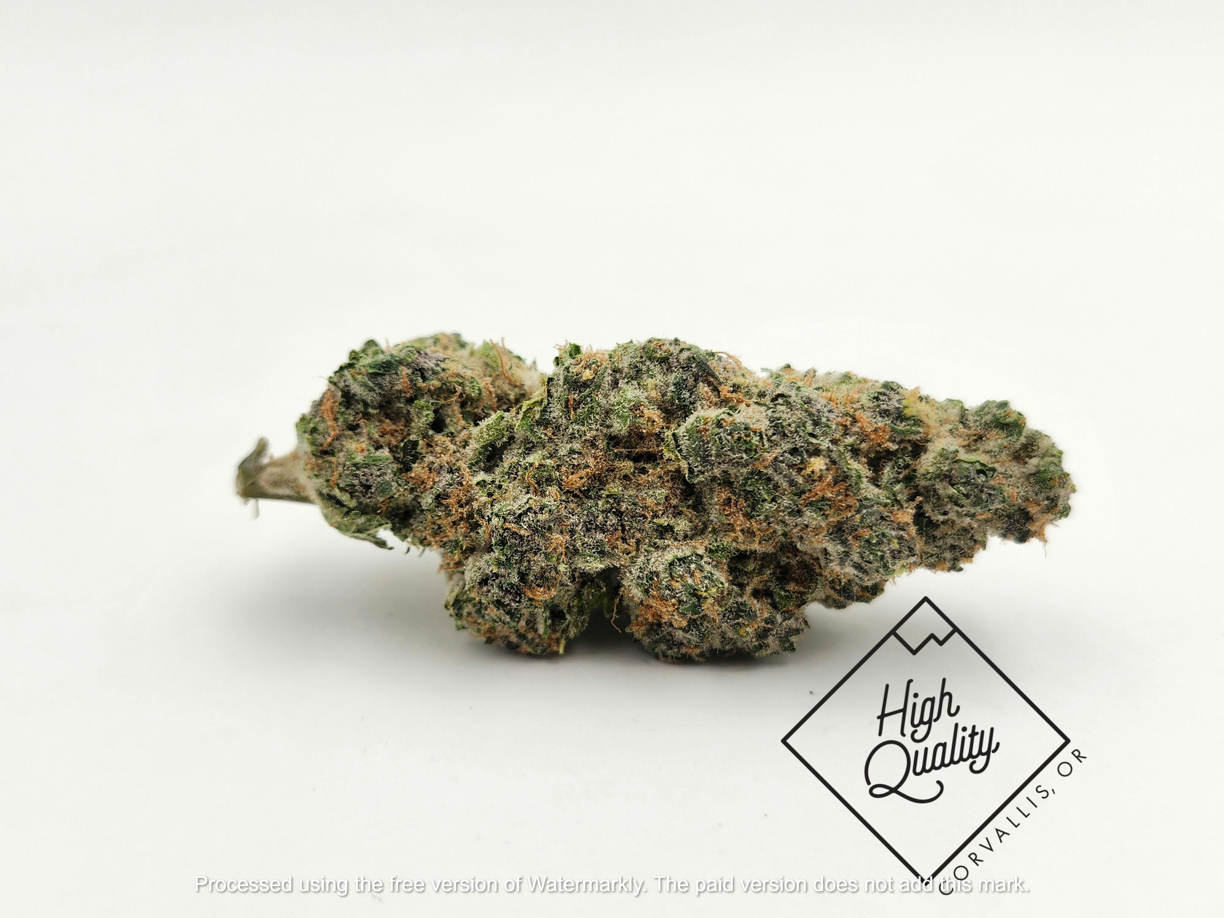 Apples & Bananas (Hybrid)