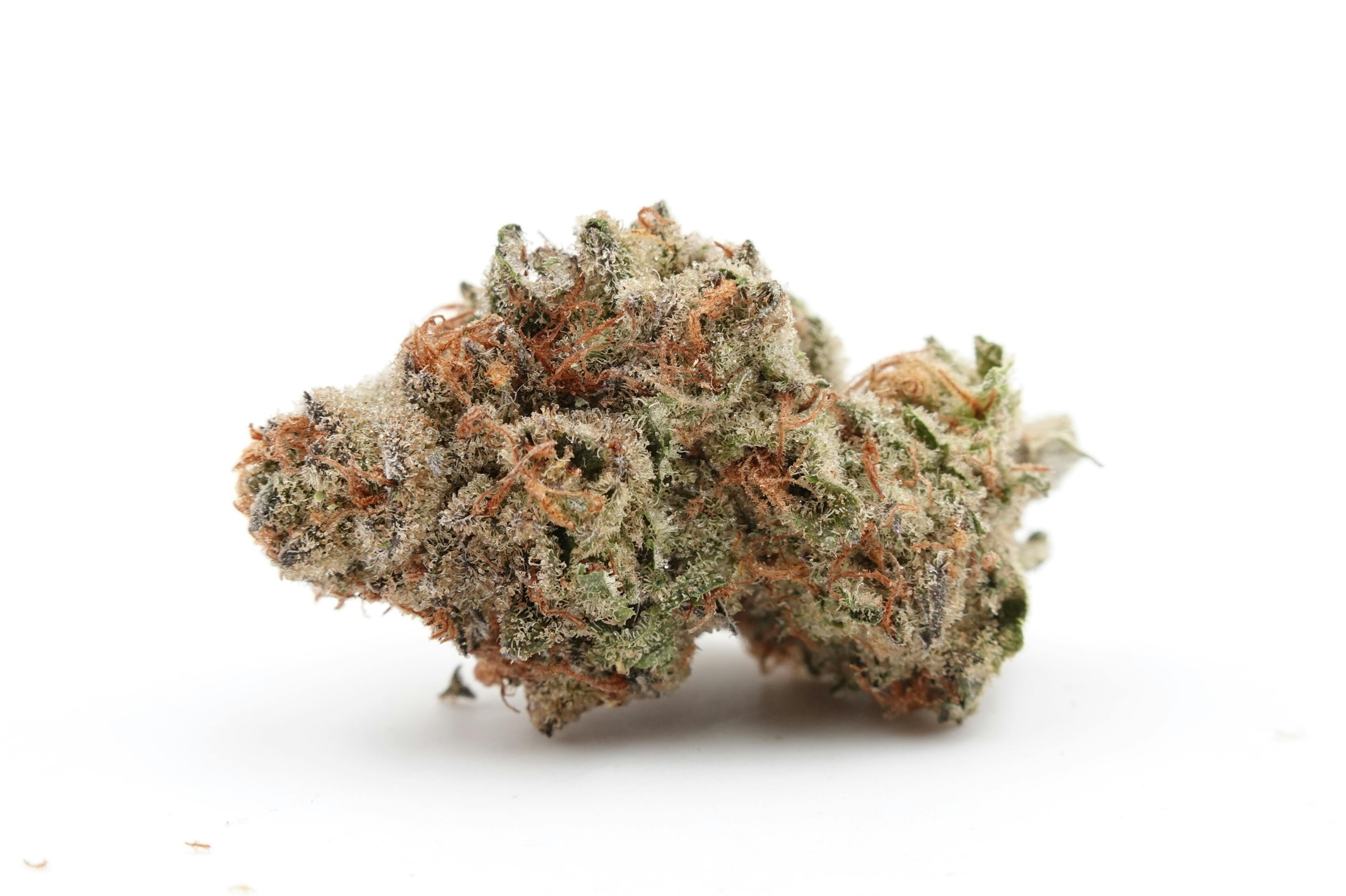 Slayzerbeam - Wicked Kind (Sativa)
