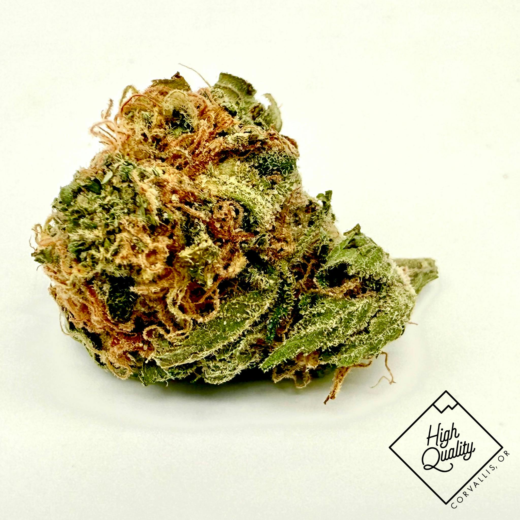 818 Headband 7g VB+ - Garden First (S)