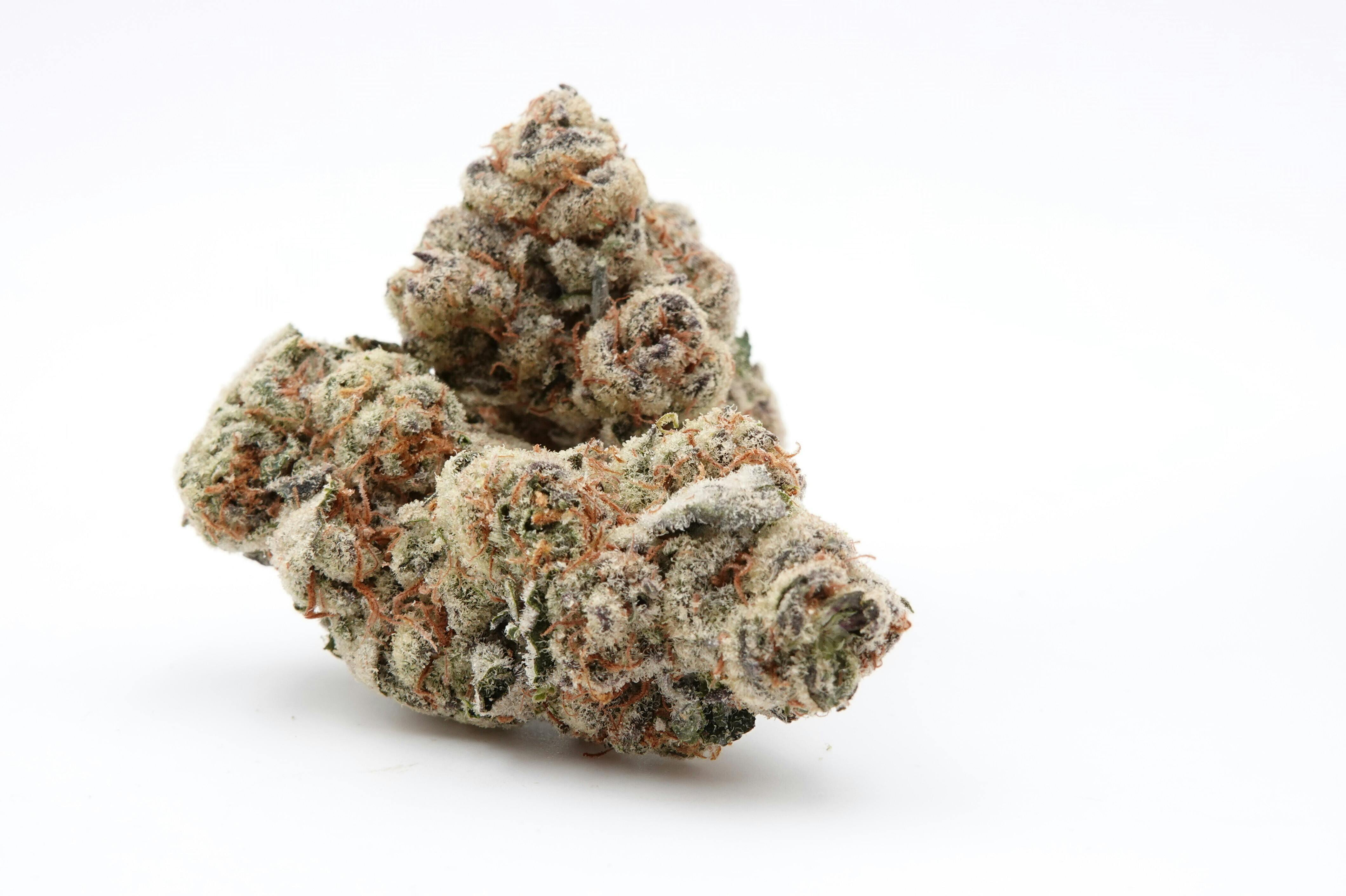 Fruit Roll Dragstrip - Gaia's Ganja Garden (IH)