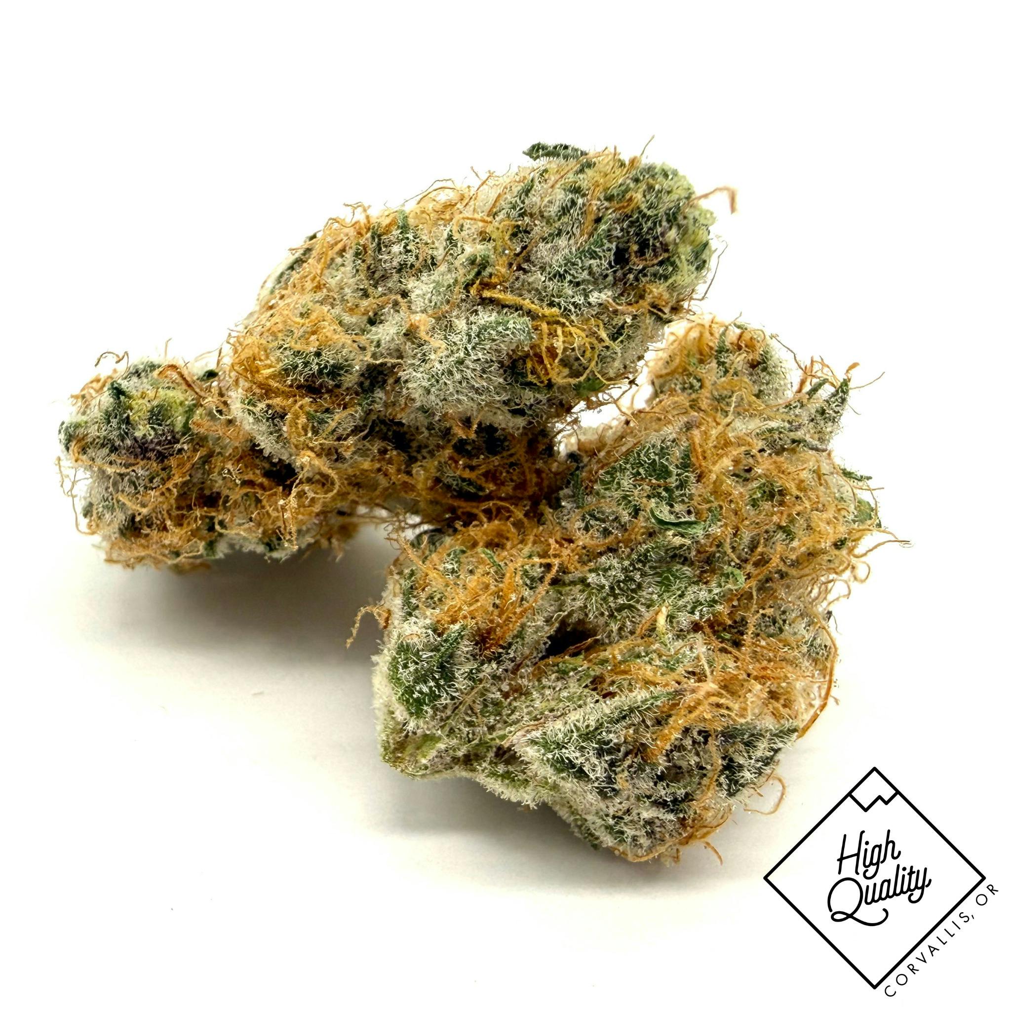 Orange Slyce - Noble Farms (S)