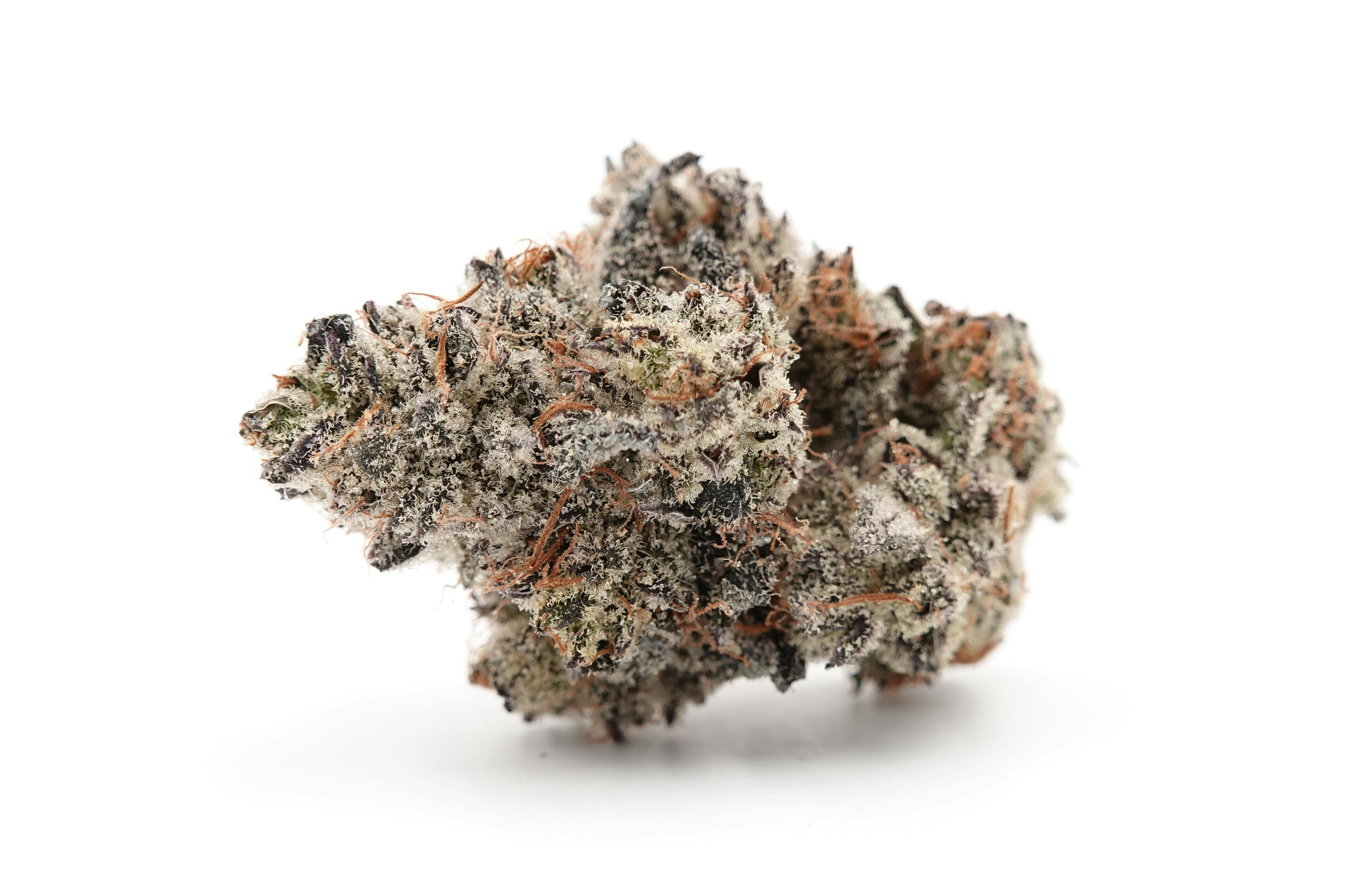 Apple Tartz - Epic Flower (I)