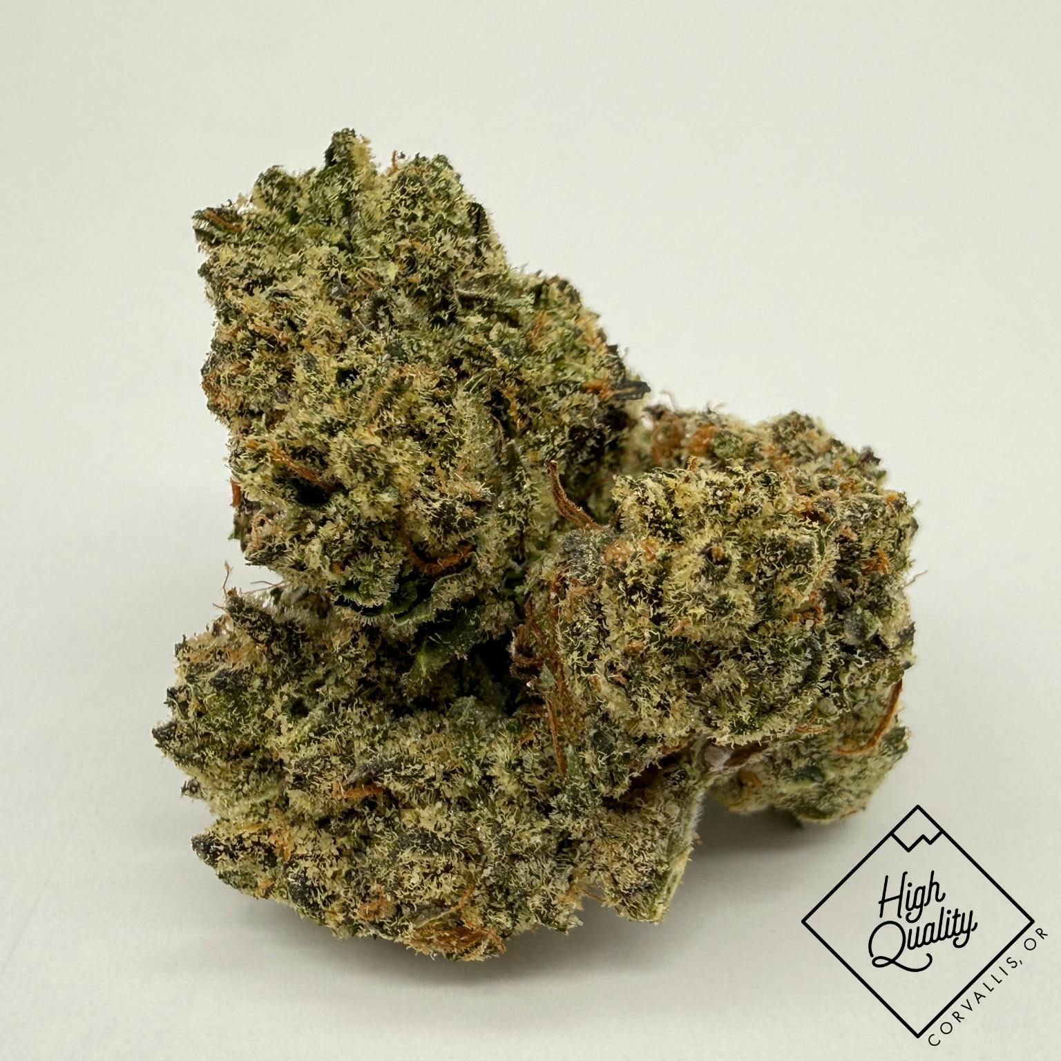 Watermelon Gelato - Deep Creek Gardens (H)